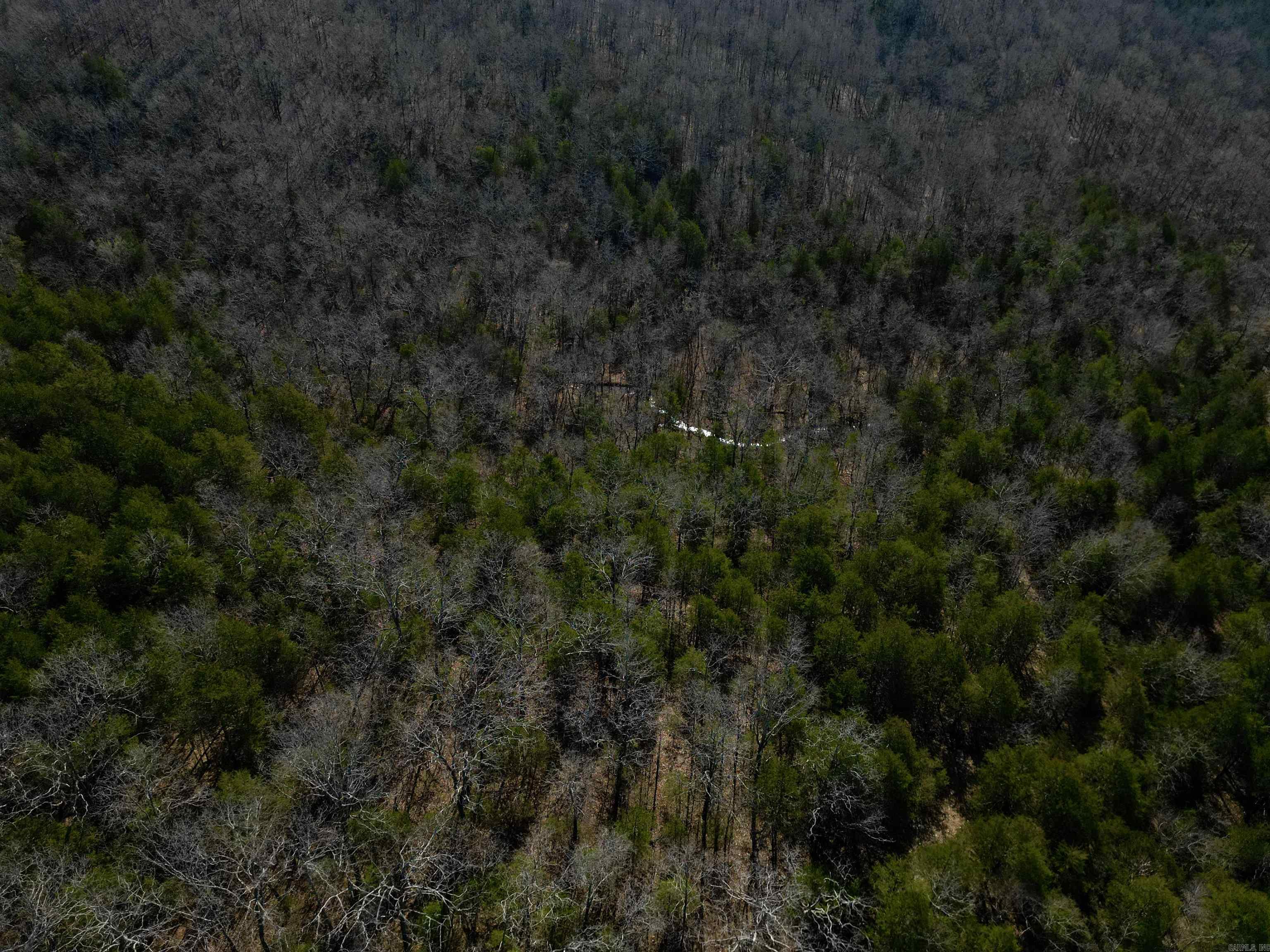 Photo 16 - Vacant Land for sale – TBD  Newman Trail   Williford, AR