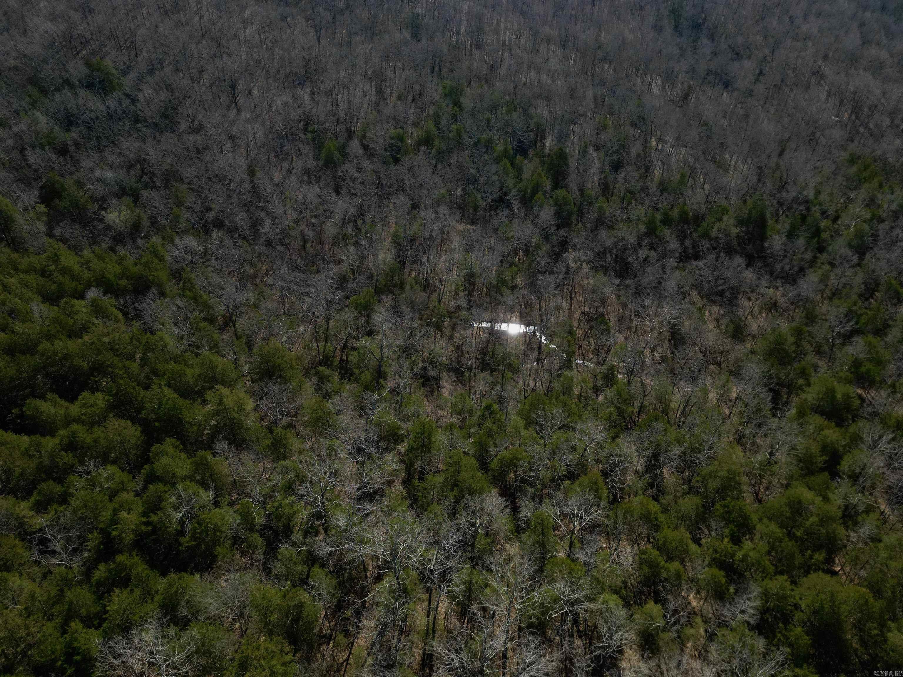 Photo 17 - Vacant Land for sale – TBD  Newman Trail   Williford, AR