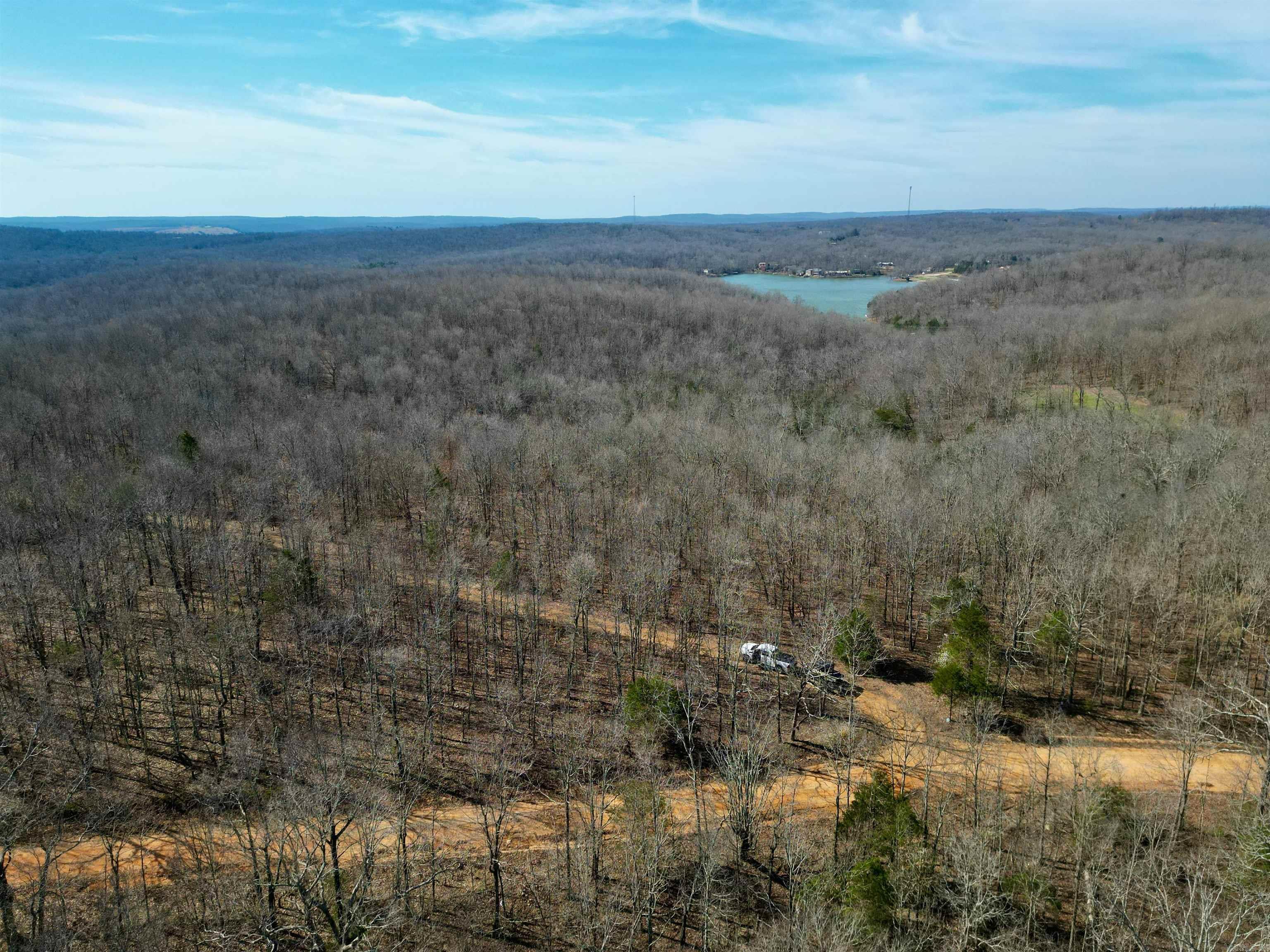 Photo 20 - Vacant Land for sale – TBD  Newman Trail   Williford, AR