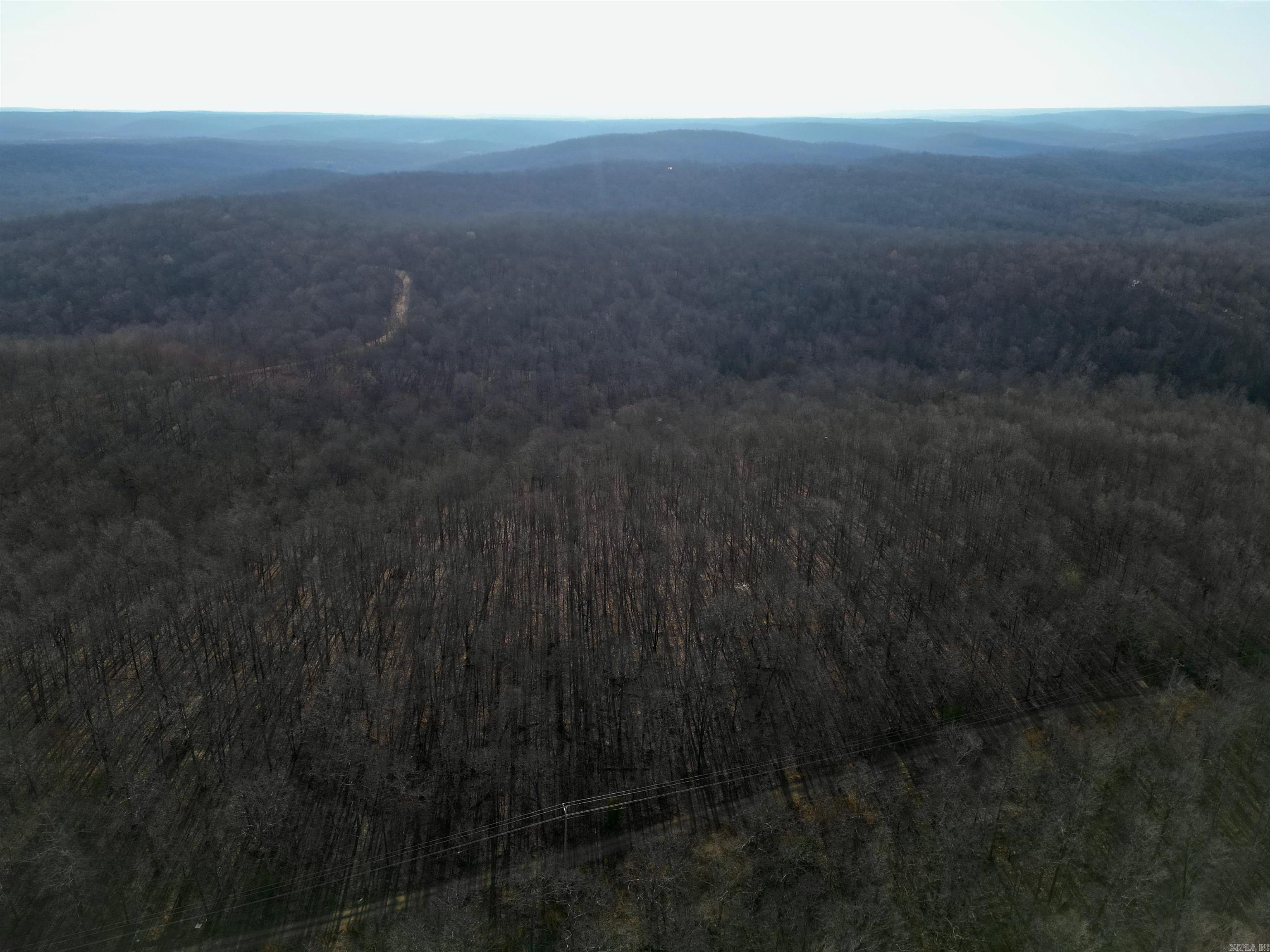 Photo 3 - Vacant Land for sale – TBD  Newman Trail   Williford, AR