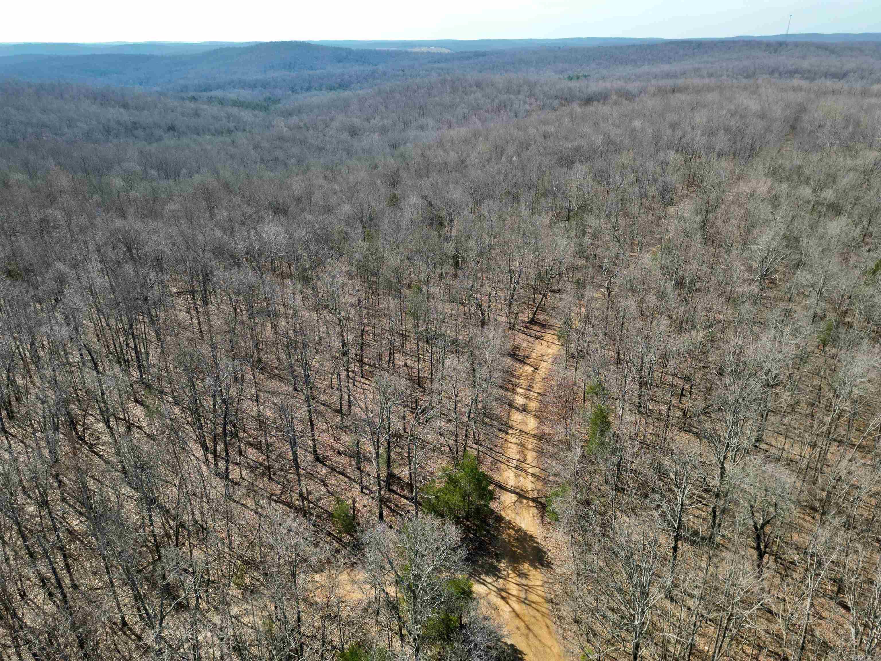 Photo 21 - Vacant Land for sale – TBD  Newman Trail   Williford, AR