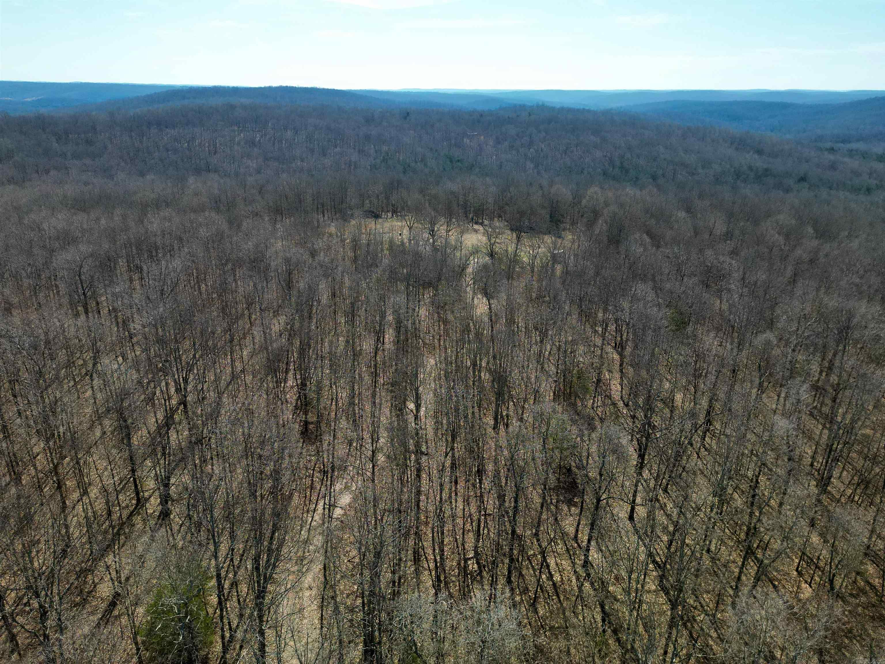 Photo 22 - Vacant Land for sale – TBD  Newman Trail   Williford, AR