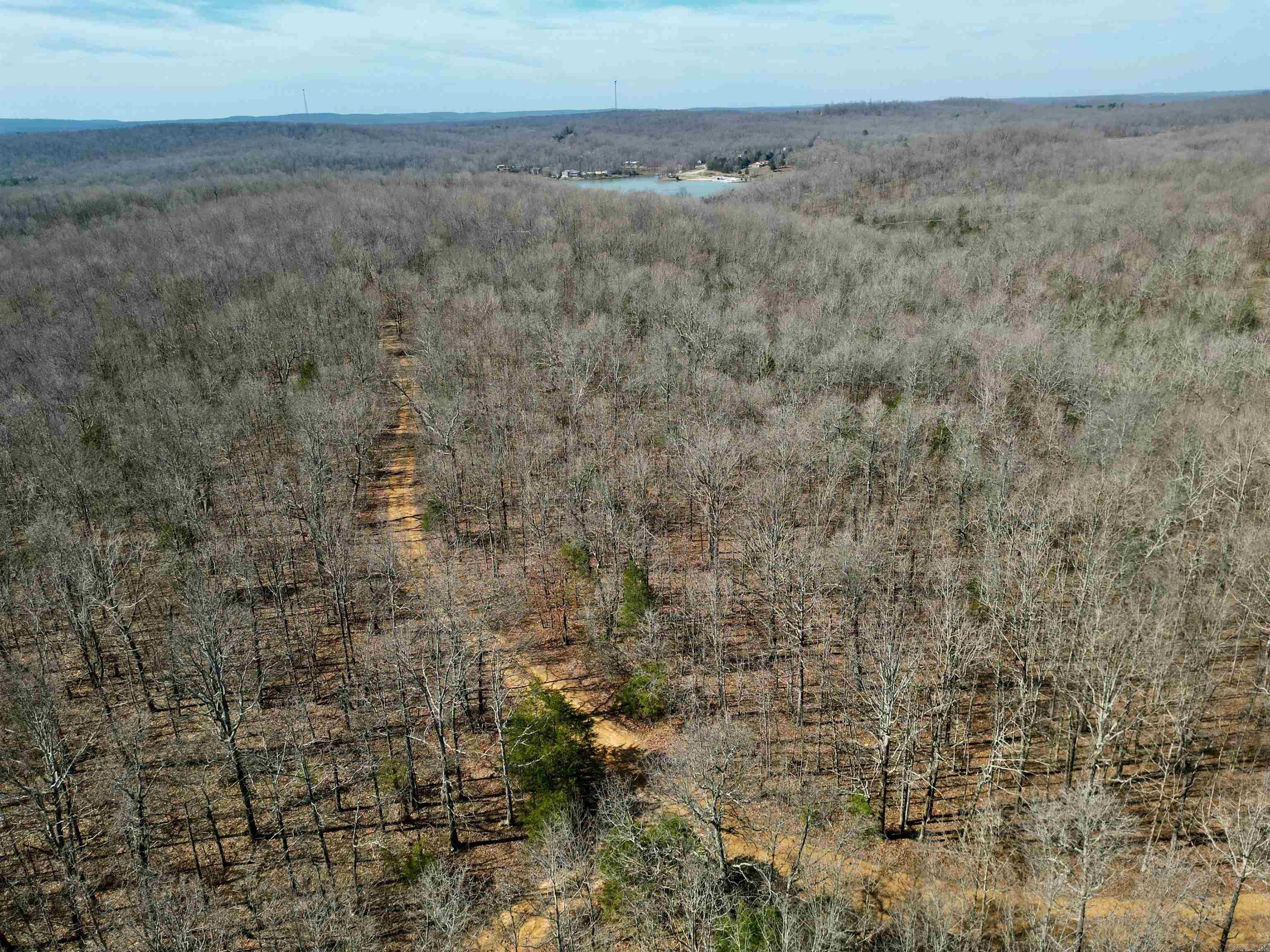 Photo 23 - Vacant Land for sale – TBD  Newman Trail   Williford, AR
