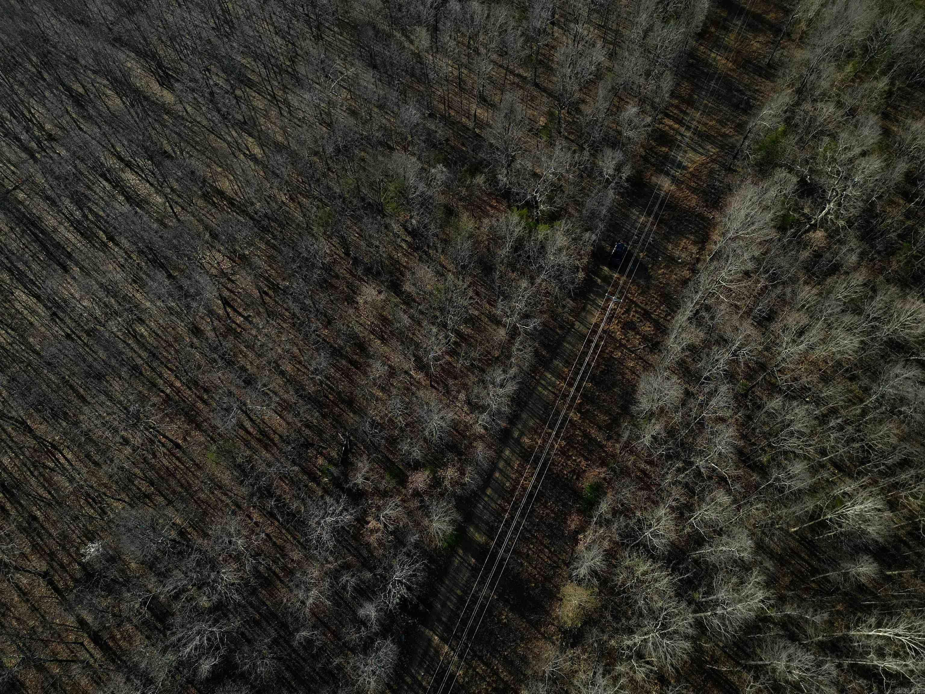 Photo 4 - Vacant Land for sale – TBD  Newman Trail   Williford, AR