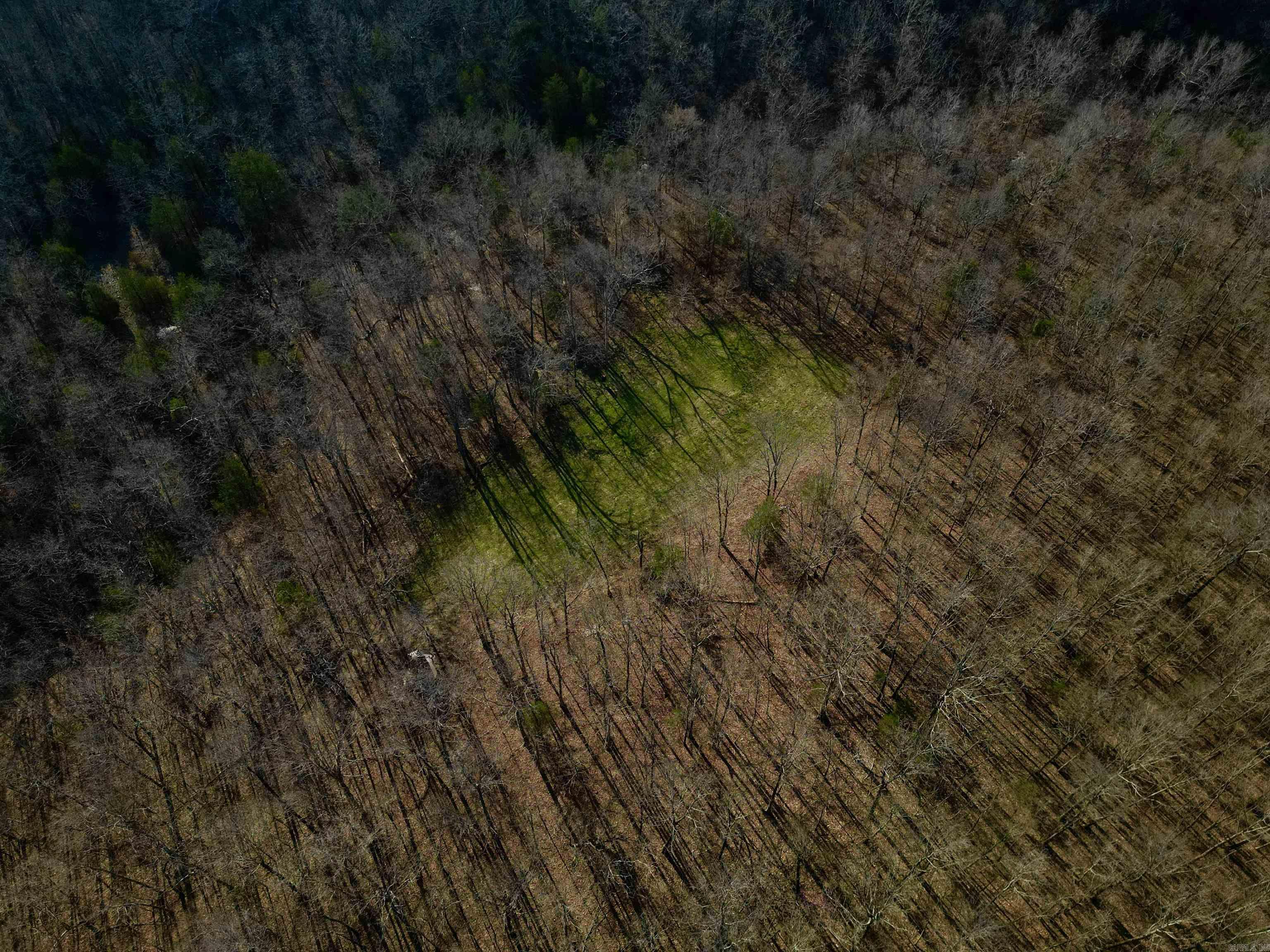 Photo 5 - Vacant Land for sale – TBD  Newman Trail   Williford, AR
