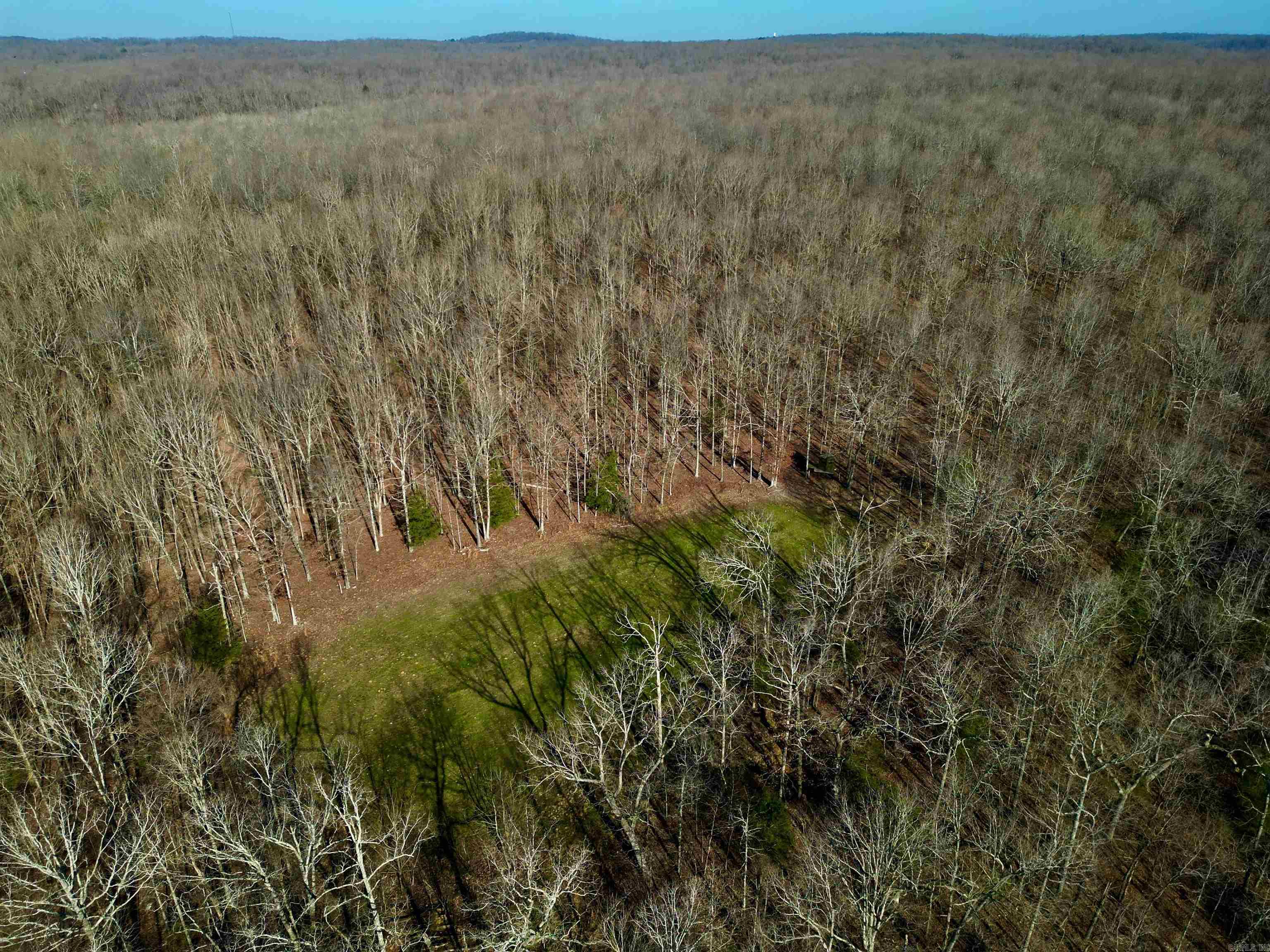 Photo 6 - Vacant Land for sale – TBD  Newman Trail   Williford, AR