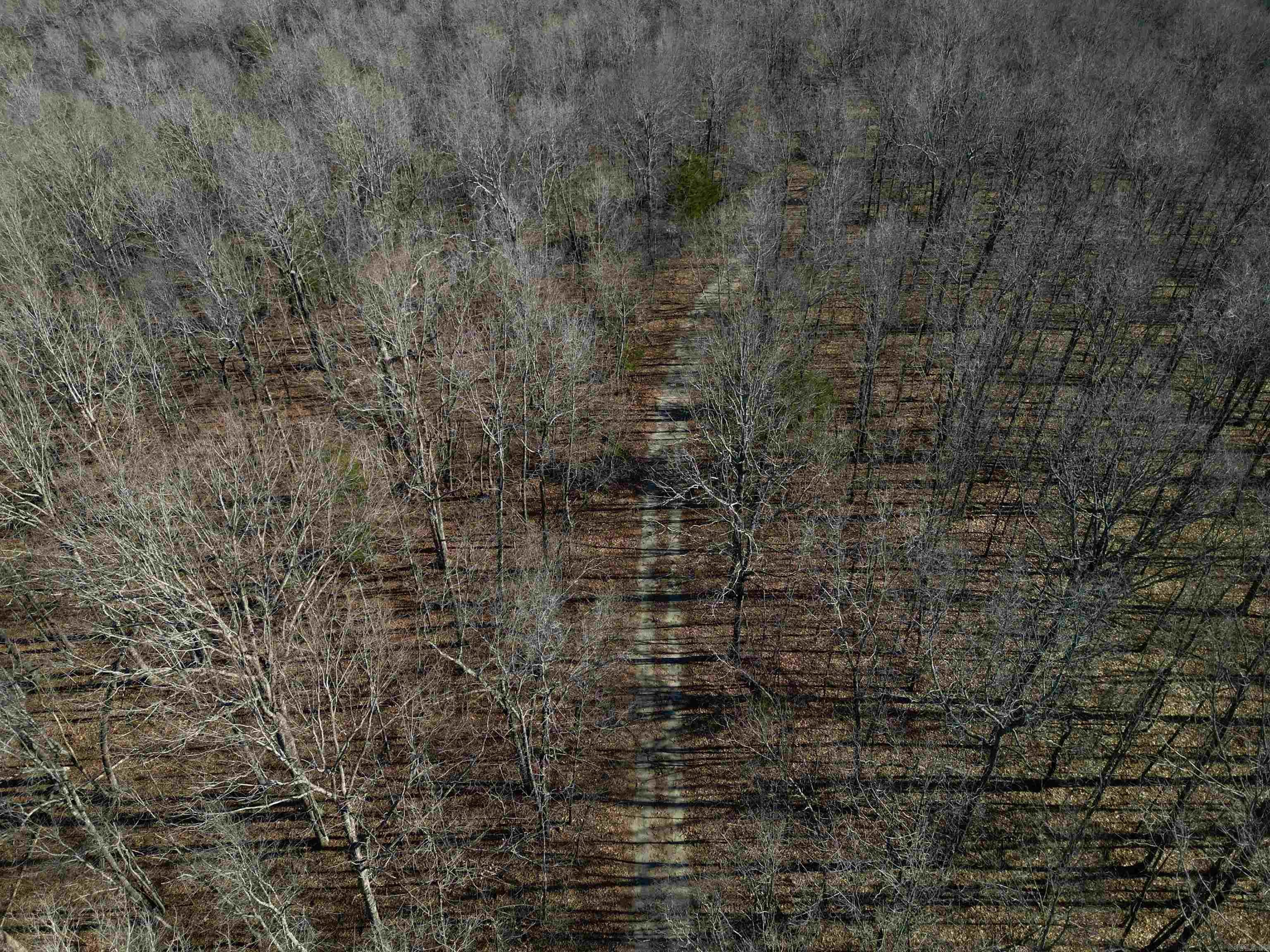 Photo 8 - Vacant Land for sale – TBD  Newman Trail   Williford, AR