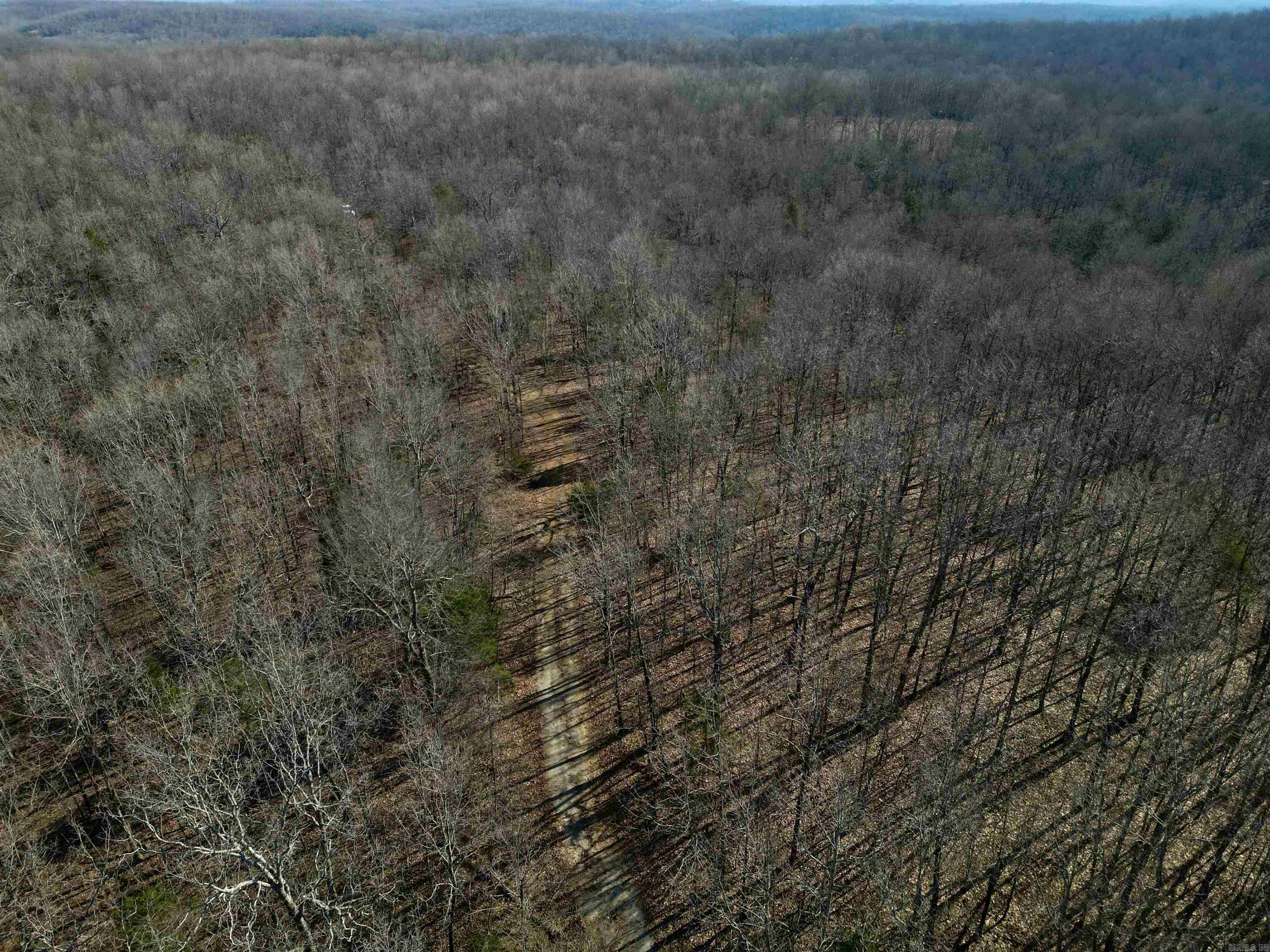 Photo 9 - Vacant Land for sale – TBD  Newman Trail   Williford, AR