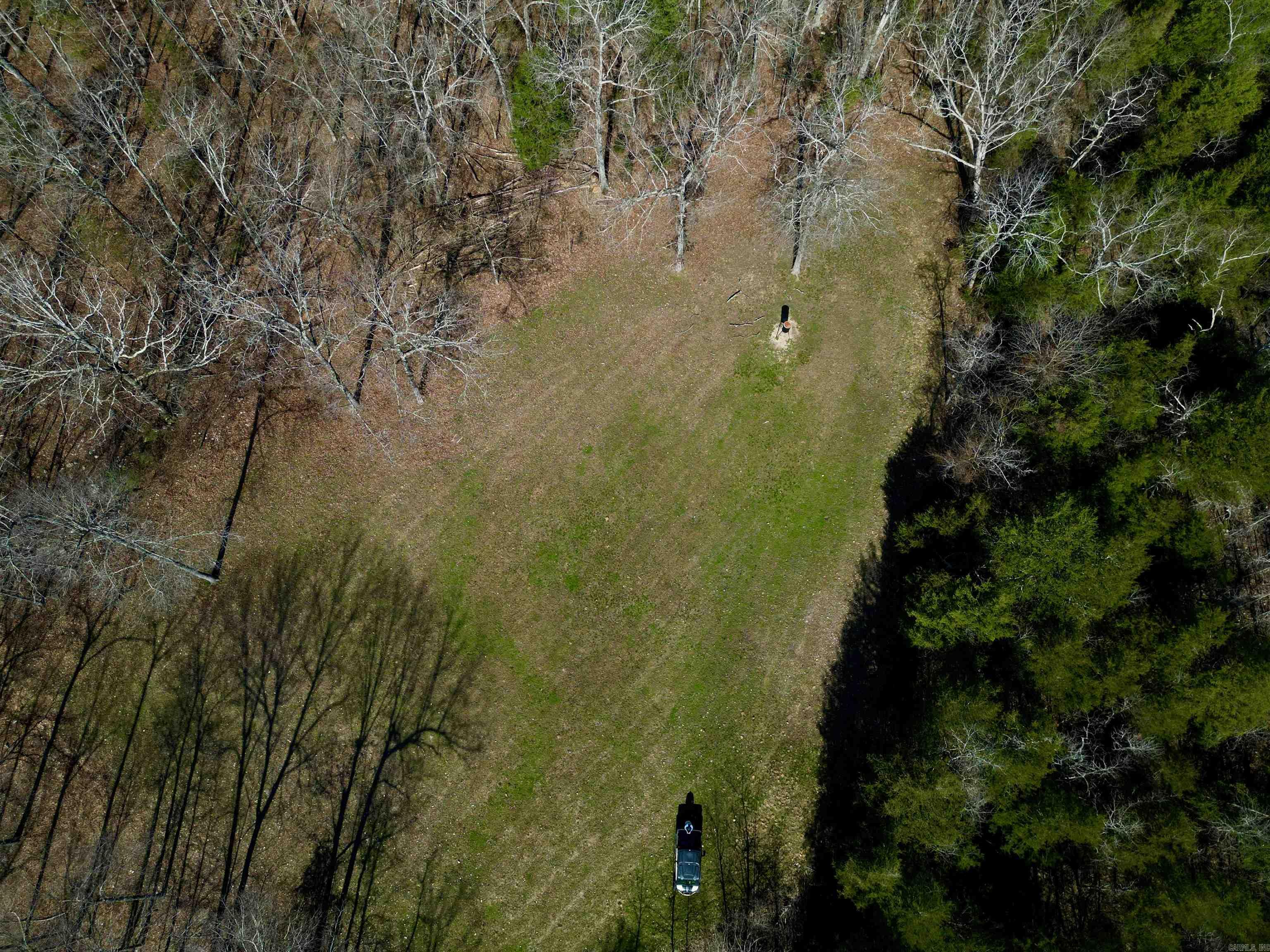 Photo 10 - Vacant Land for sale – TBD  Newman Trail   Williford, AR