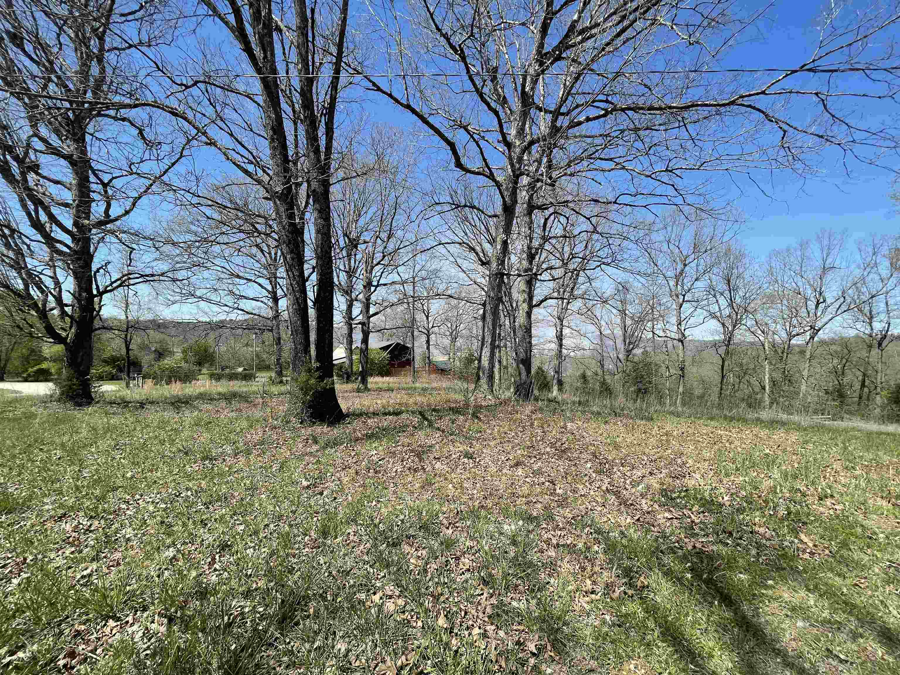 Photo 11 - Vacant Land for sale – TBT  Riverside   Mammoth Spring, AR