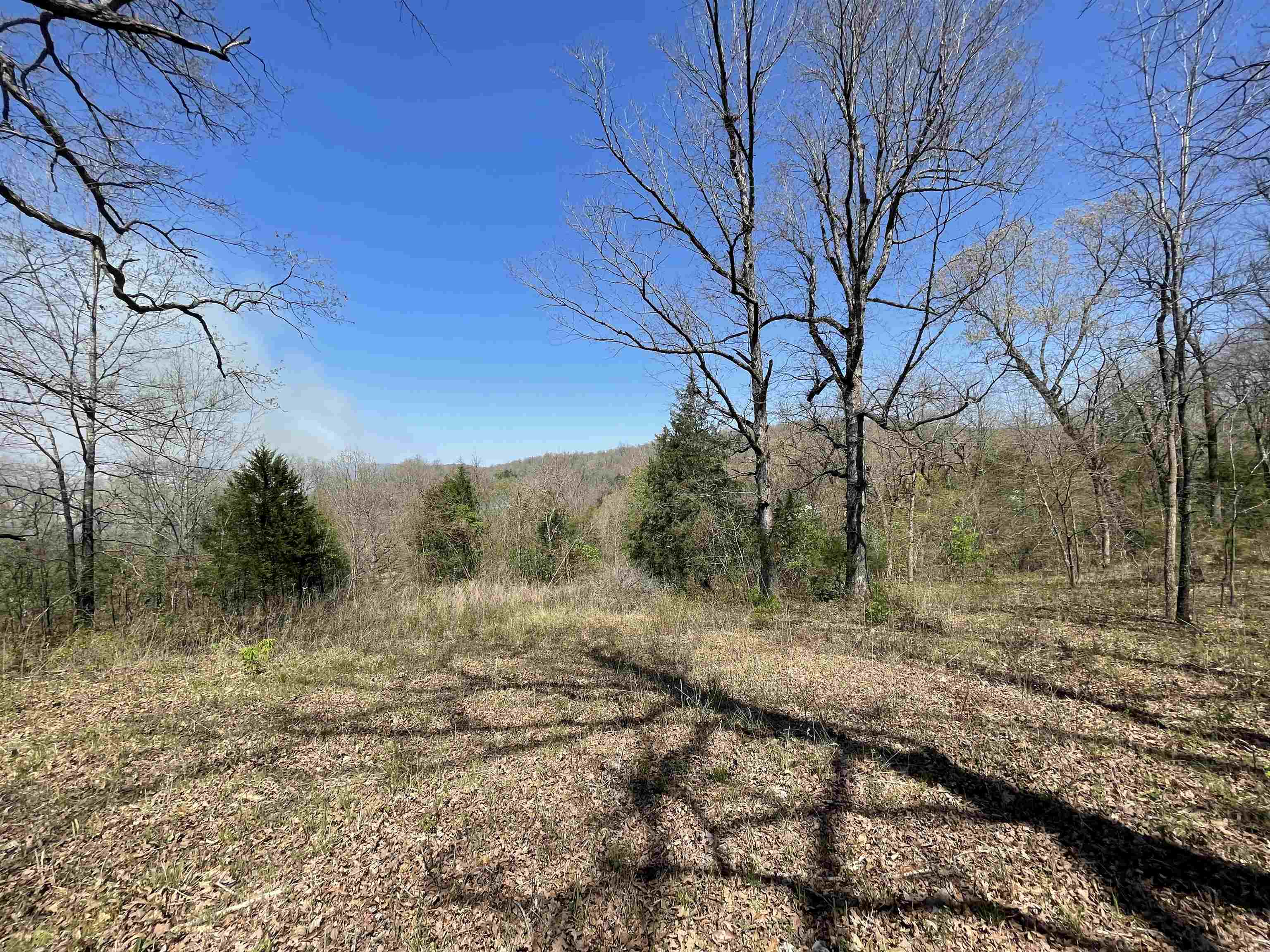 Photo 13 - Vacant Land for sale – TBT  Riverside   Mammoth Spring, AR