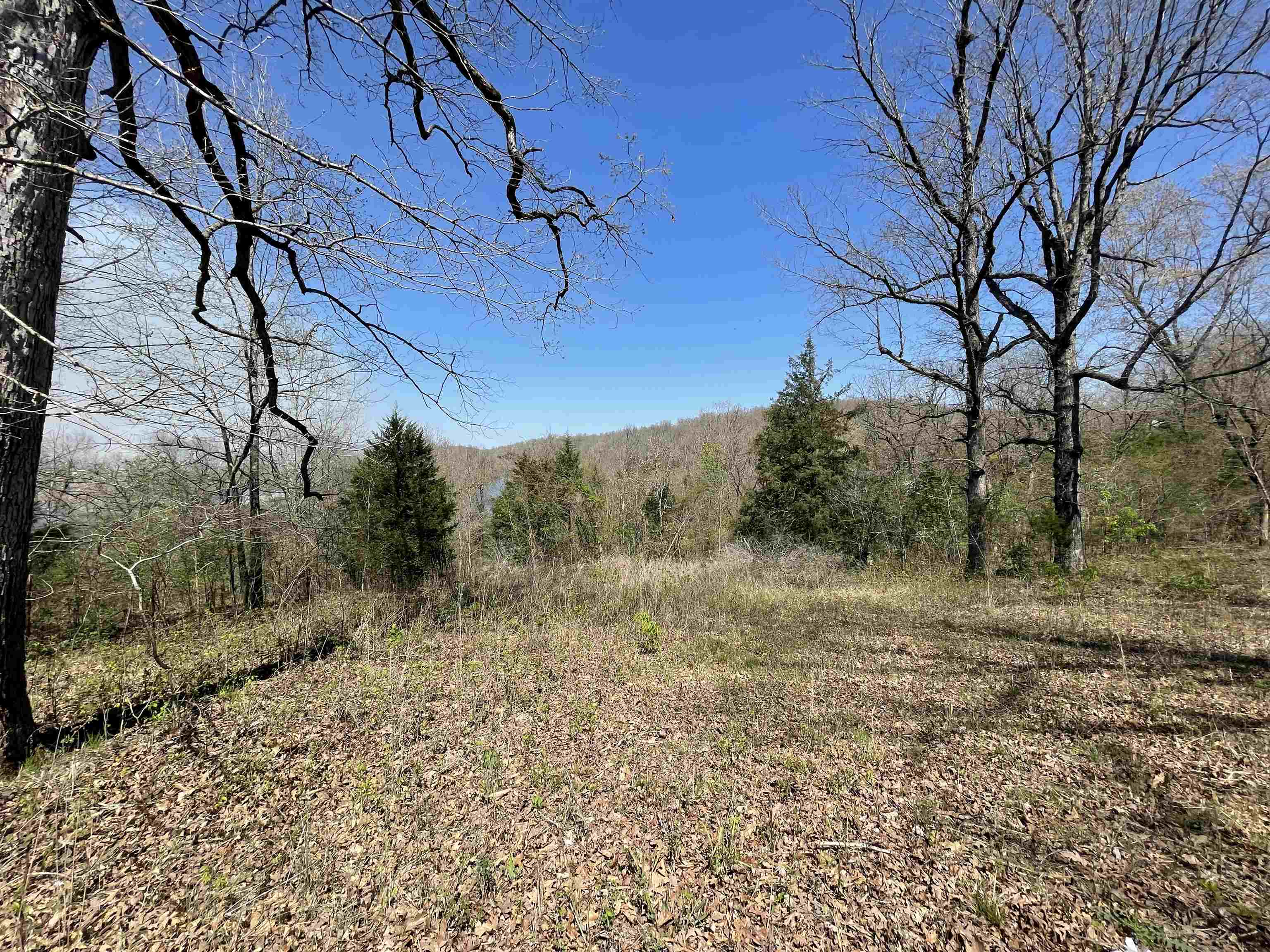 Photo 14 - Vacant Land for sale – TBT  Riverside   Mammoth Spring, AR