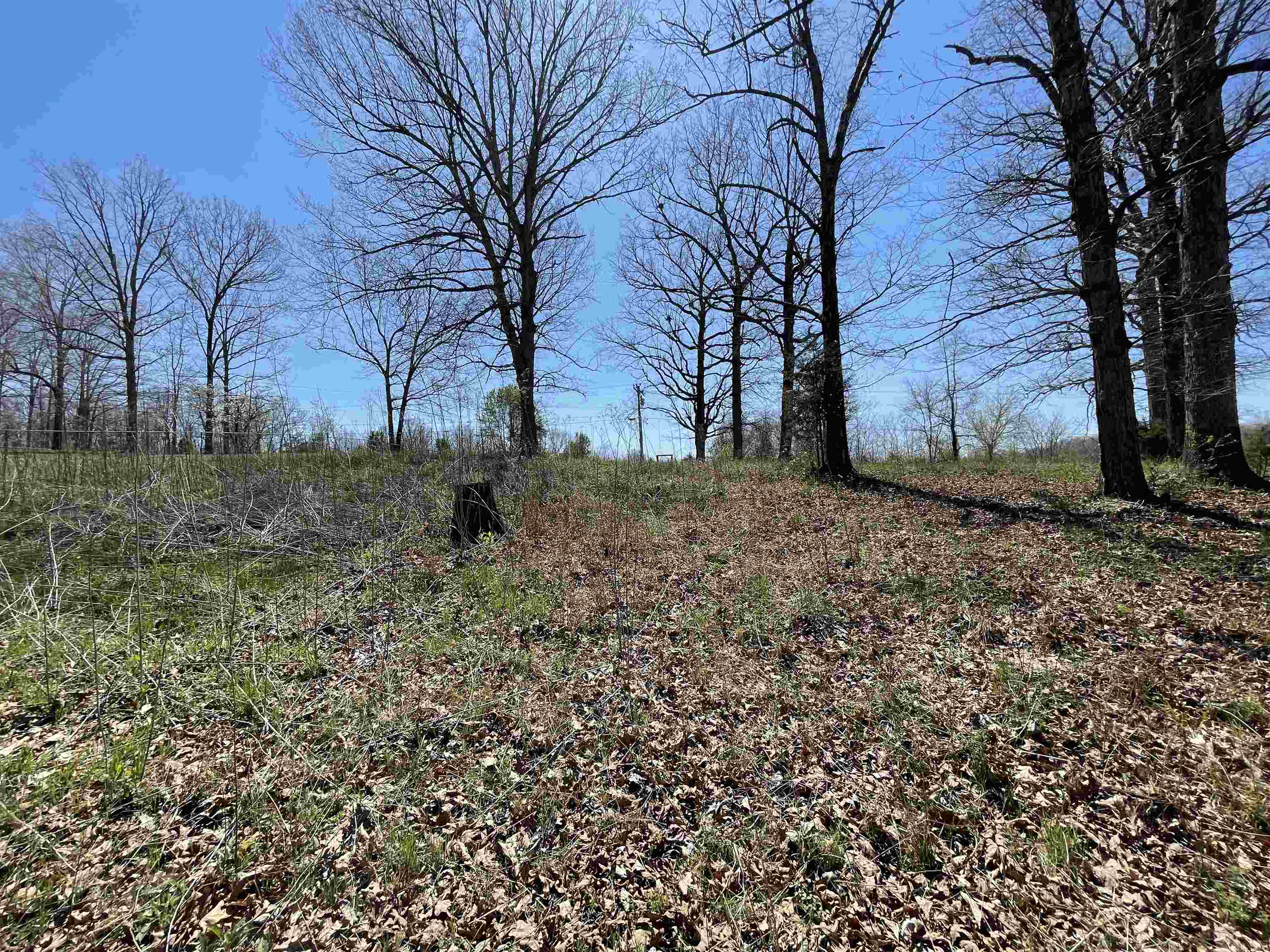 Photo 15 - Vacant Land for sale – TBT  Riverside   Mammoth Spring, AR