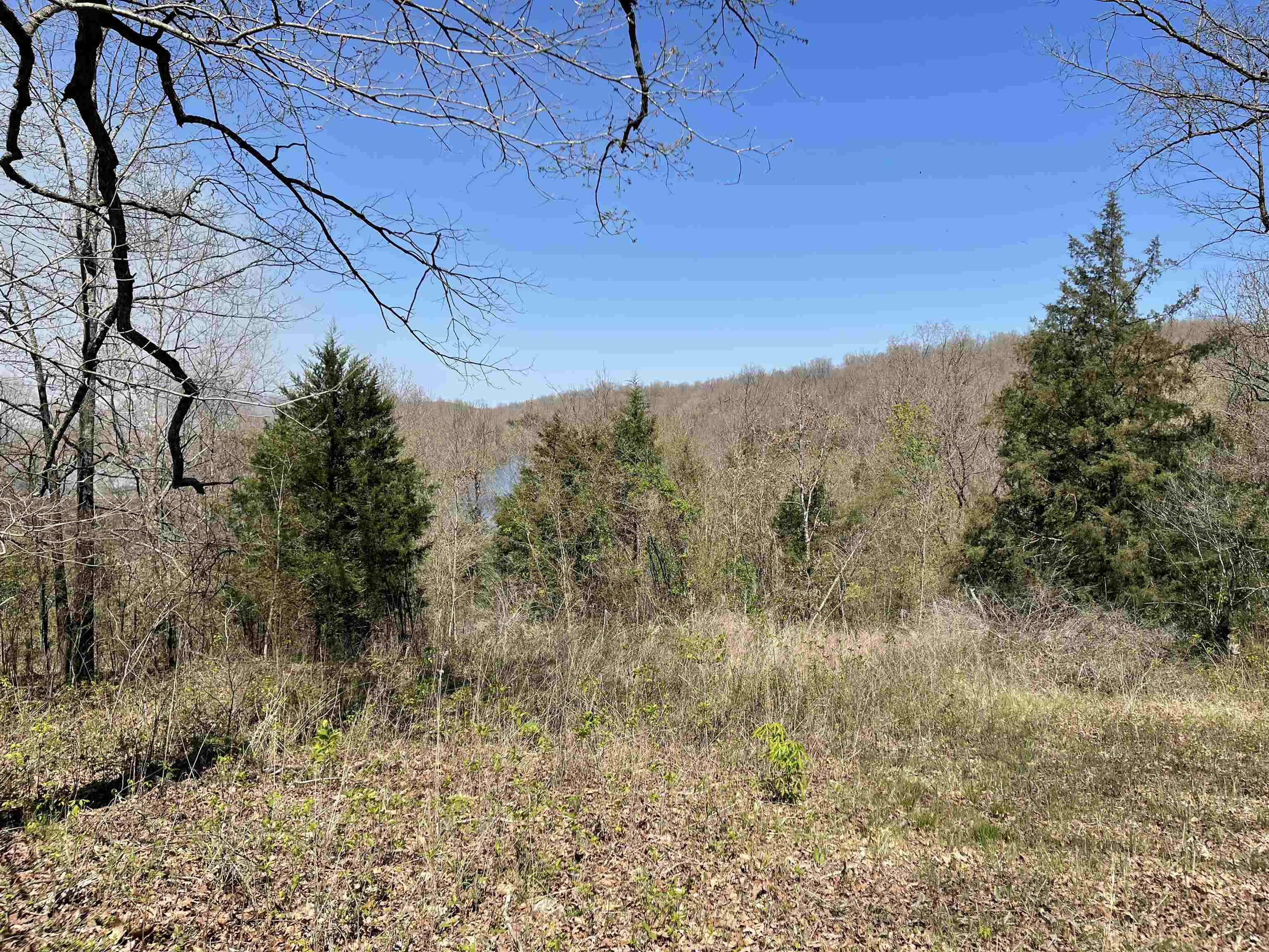 Photo 16 - Vacant Land for sale – TBT  Riverside   Mammoth Spring, AR