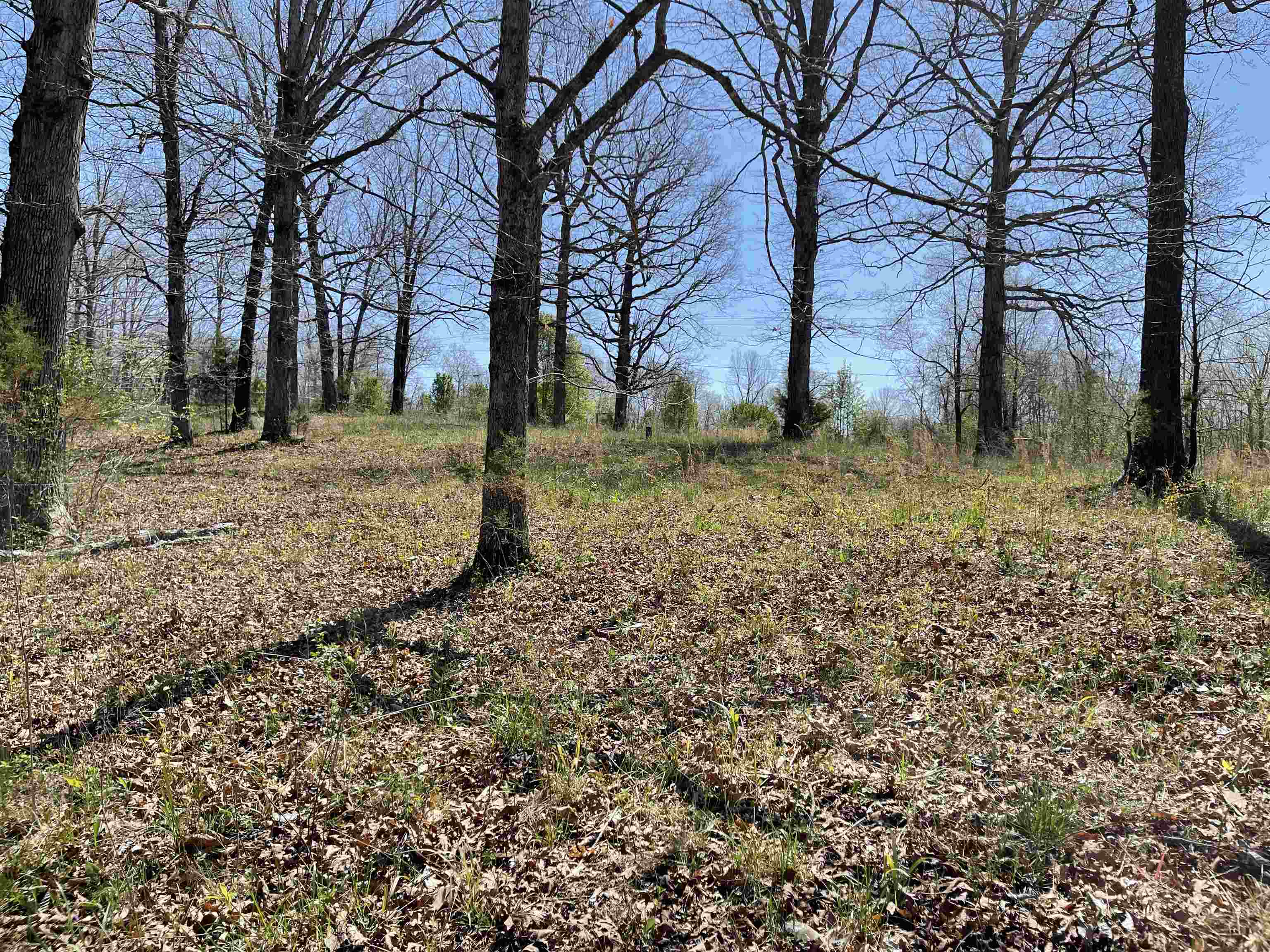 Photo 18 - Vacant Land for sale – TBT  Riverside   Mammoth Spring, AR