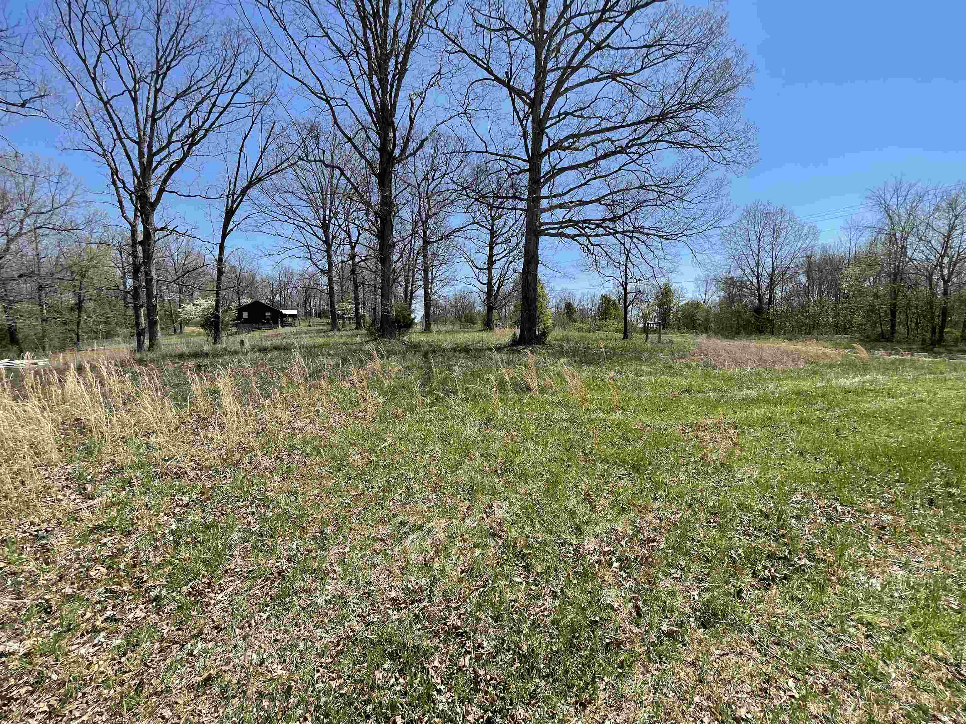 Photo 21 - Vacant Land for sale – TBT  Riverside   Mammoth Spring, AR