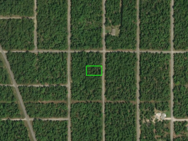 Photo 11 - Vacant Land for sale – 803 S Springfield   Horseshoe Bend, AR