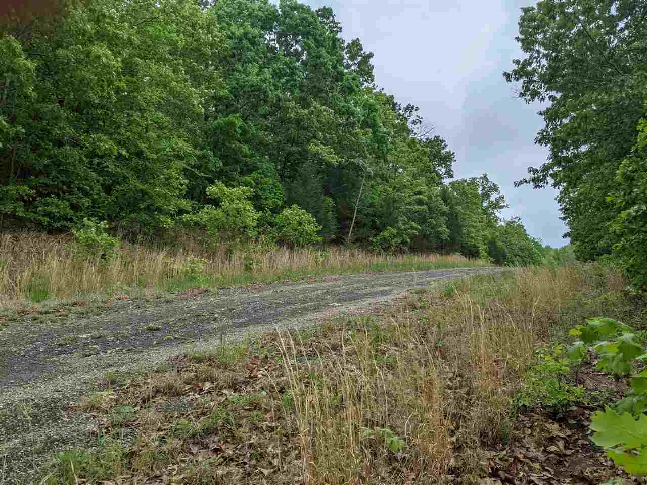 Photo 5 - Vacant Land for sale – 803 S Springfield   Horseshoe Bend, AR