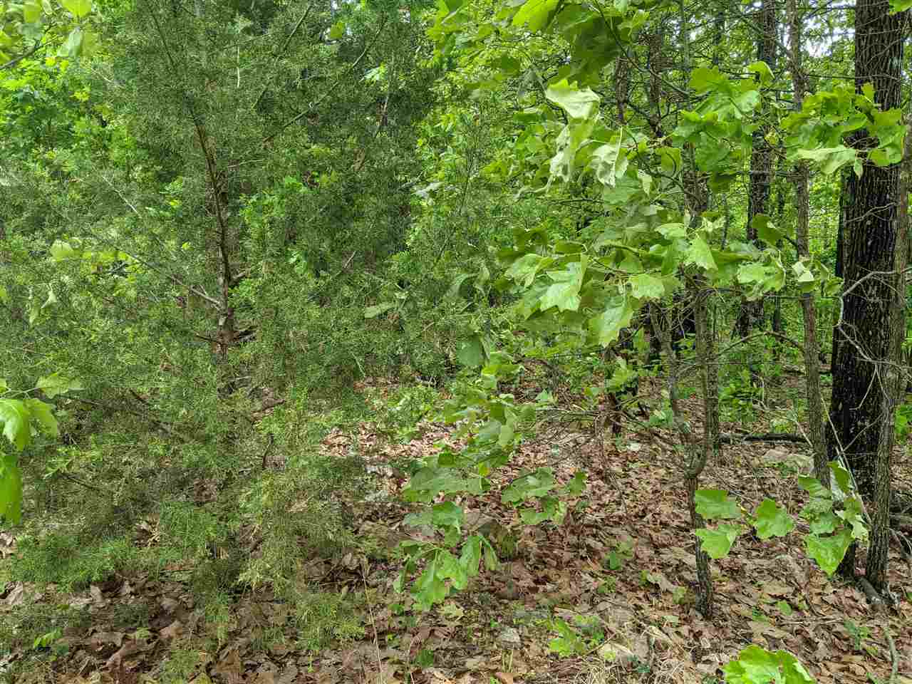 Photo 7 - Vacant Land for sale – 803 S Springfield   Horseshoe Bend, AR