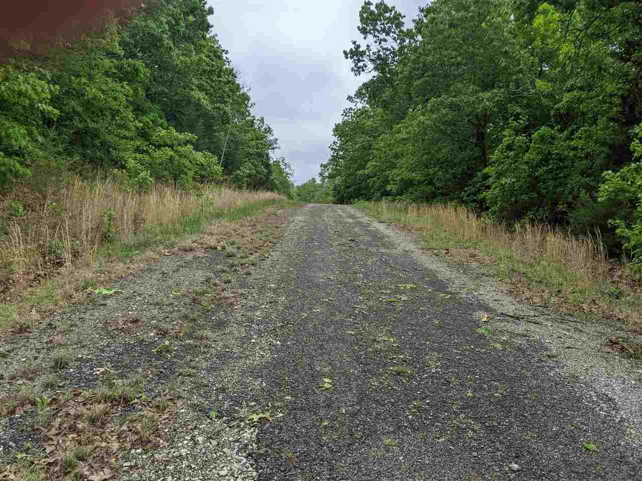 Photo 9 - Vacant Land for sale – 803 S Springfield   Horseshoe Bend, AR