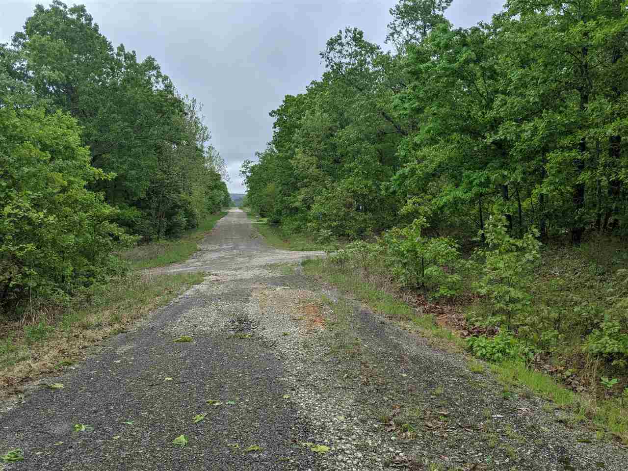 Photo 10 - Vacant Land for sale – 803 S Springfield   Horseshoe Bend, AR