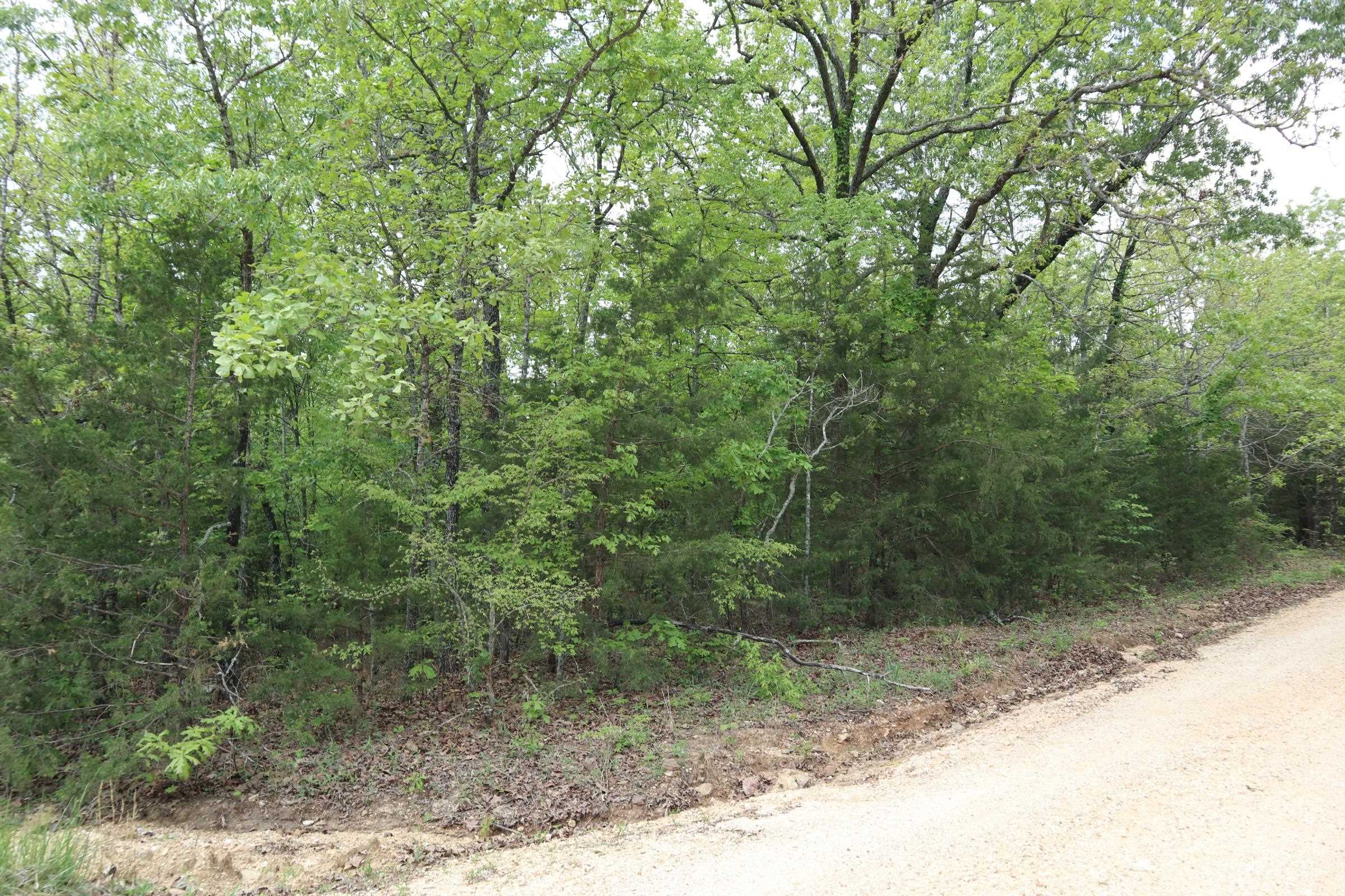 Photo 3 - Vacant Land for sale – TBD  Indian Hills Way   Glencoe, AR
