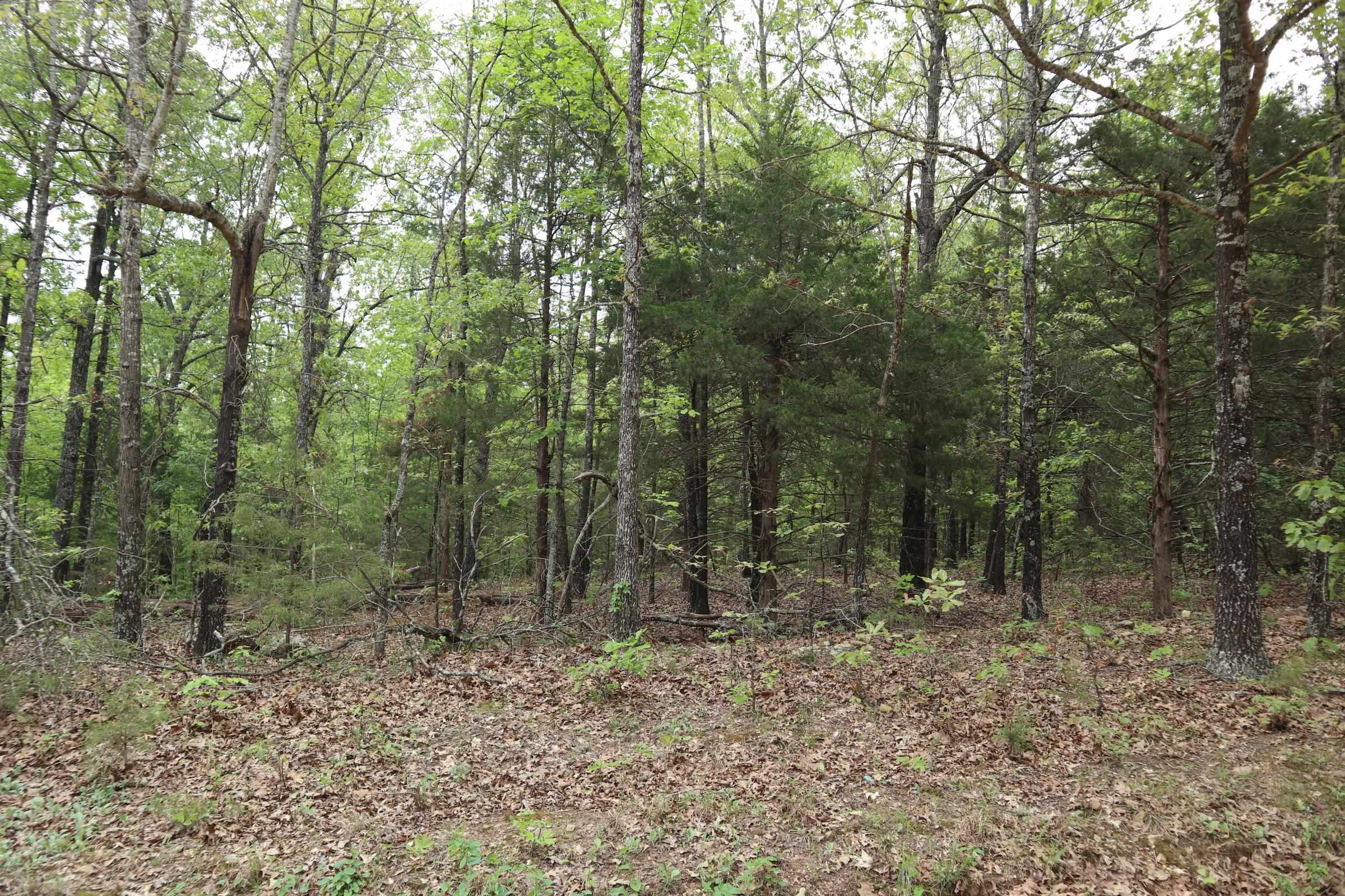 Photo 4 - Vacant Land for sale – TBD  Indian Hills Way   Glencoe, AR