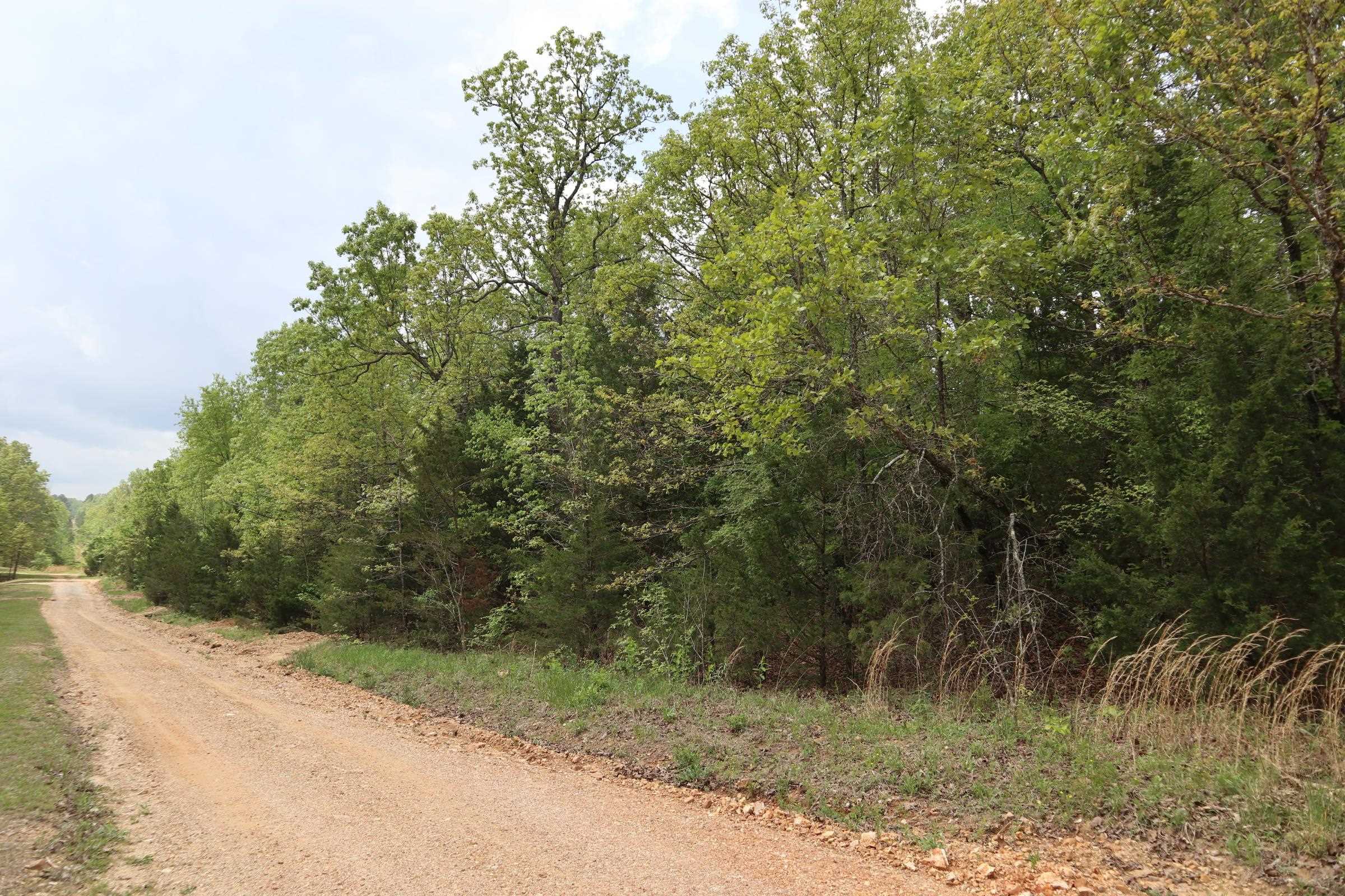 Photo 7 - Vacant Land for sale – TBD  Indian Hills Way   Glencoe, AR