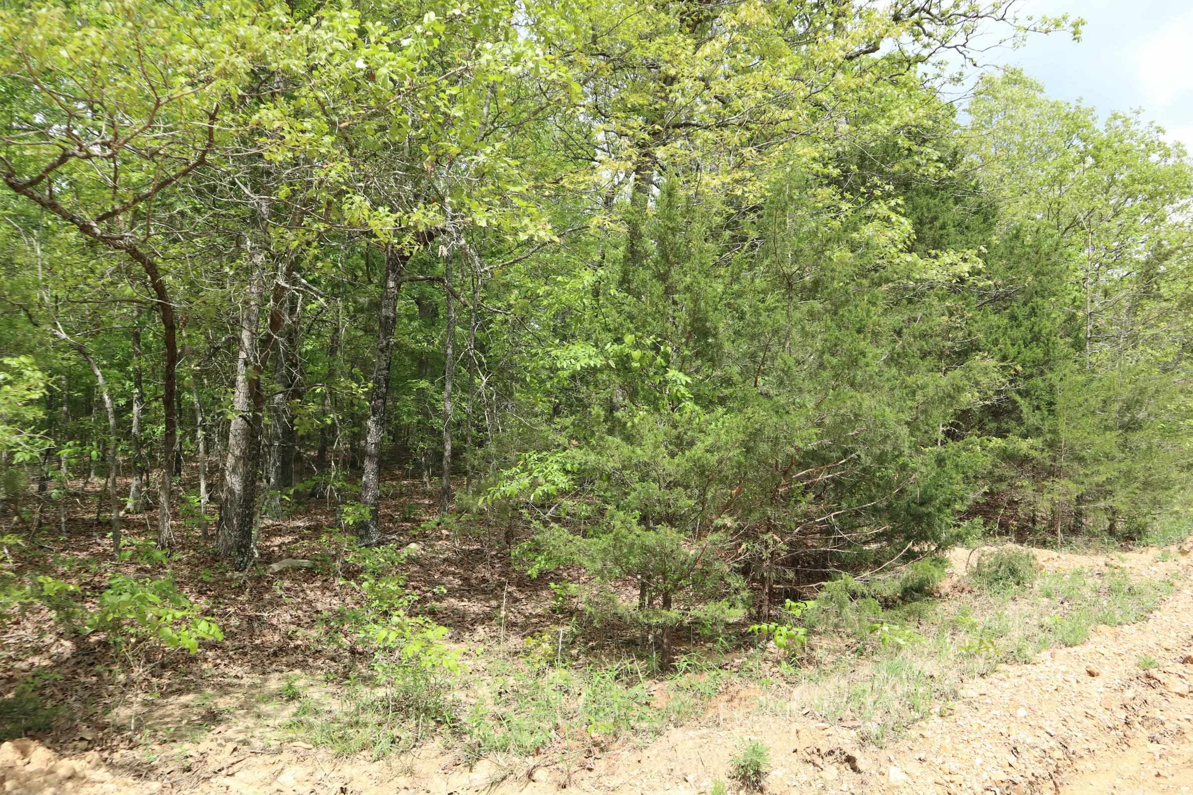 Photo 8 - Vacant Land for sale – TBD  Indian Hills Way   Glencoe, AR