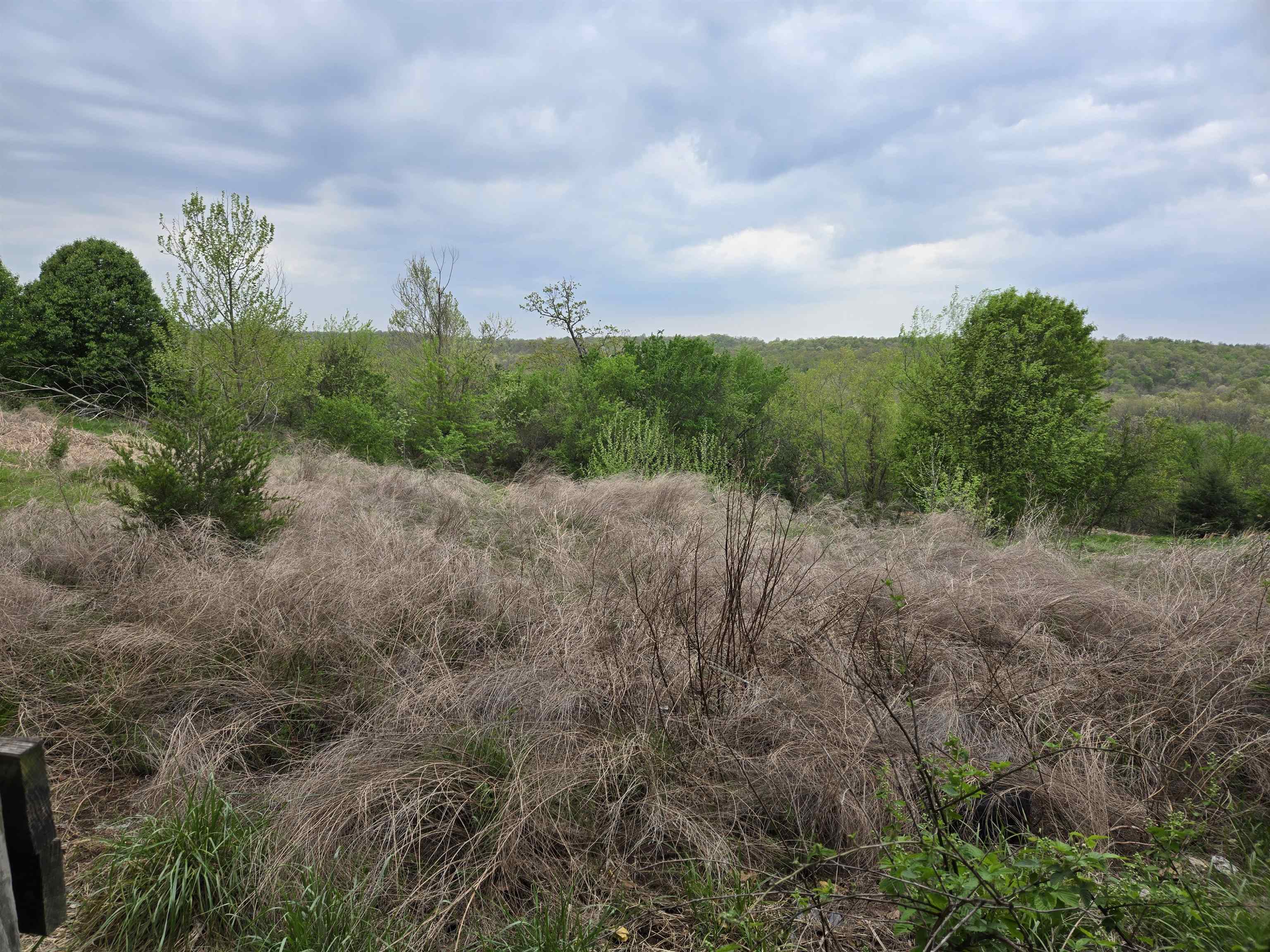 Photo 18 - Vacant Land for sale –   Moonlight   Mammoth Spring, AR