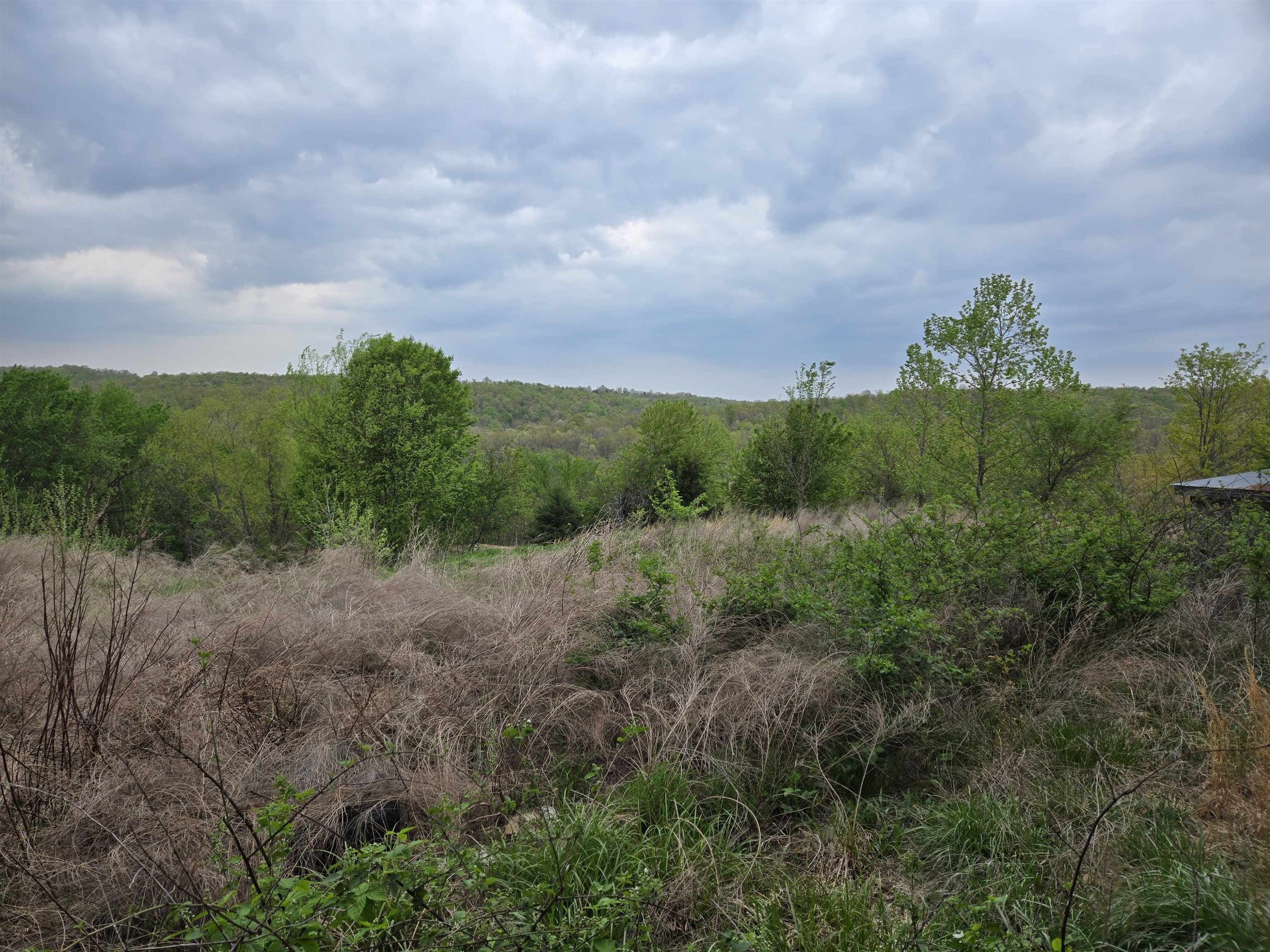 Photo 19 - Vacant Land for sale –   Moonlight   Mammoth Spring, AR