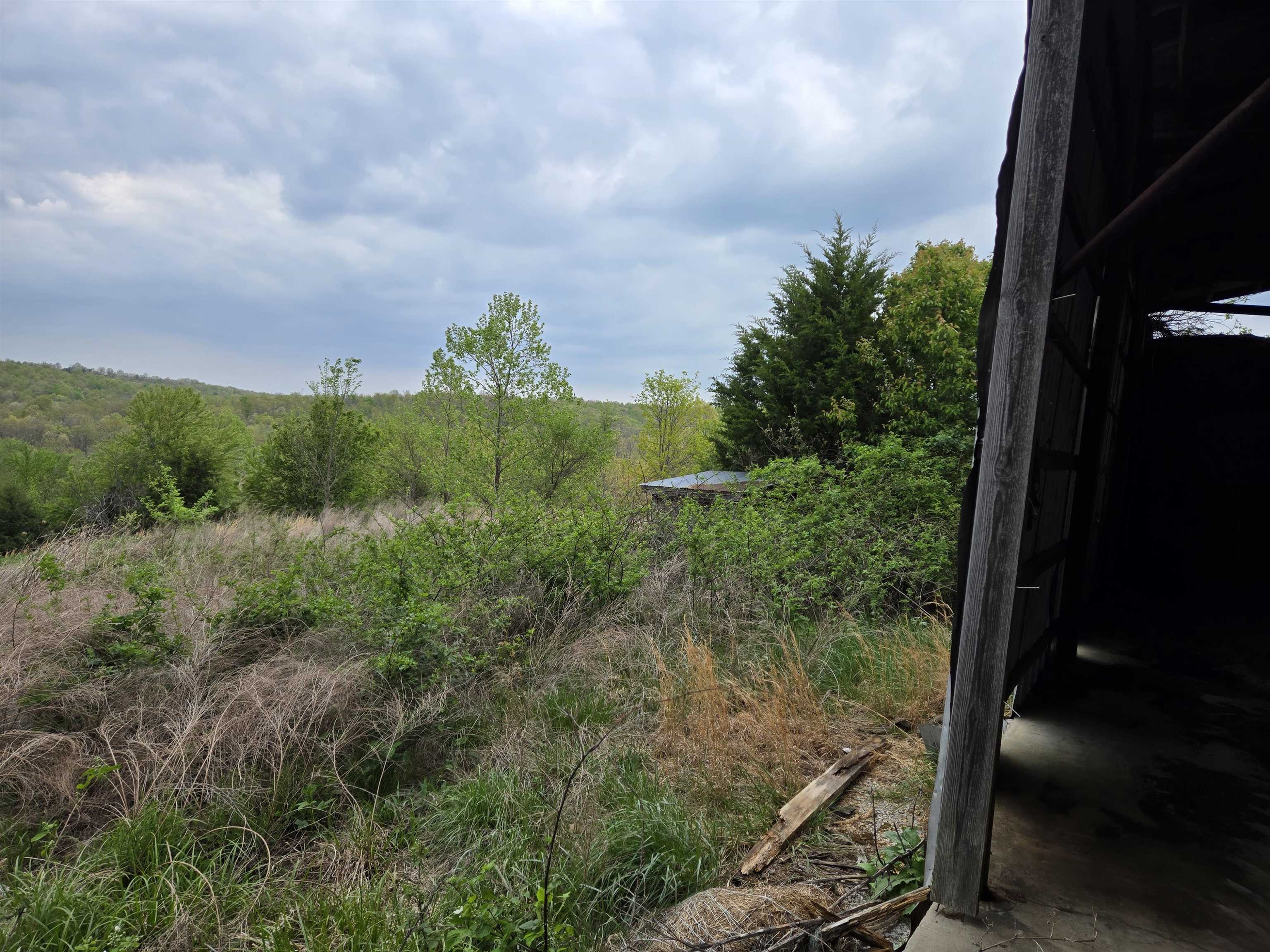 Photo 20 - Vacant Land for sale –   Moonlight   Mammoth Spring, AR