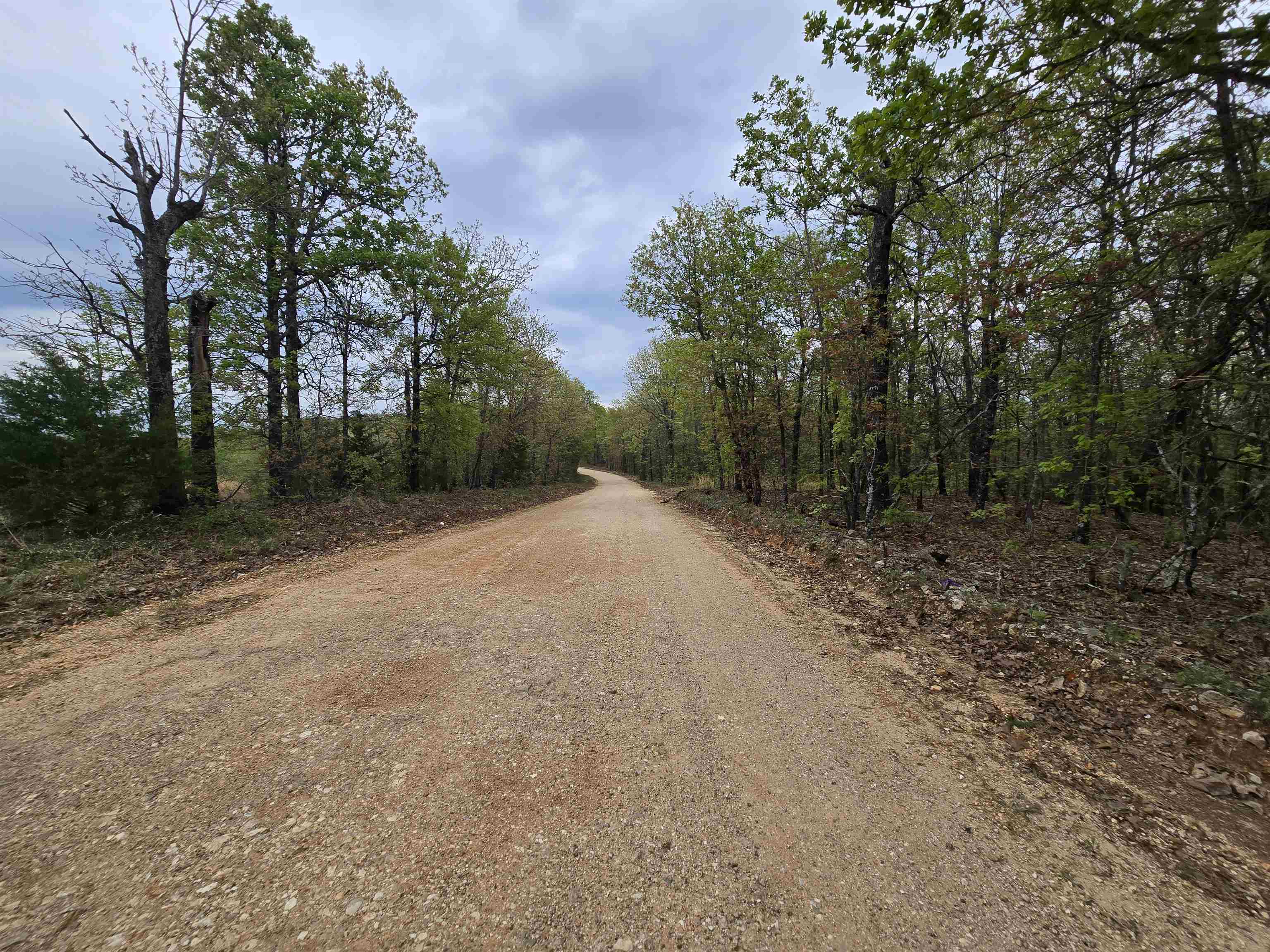 Photo 3 - Vacant Land for sale –   Moonlight   Mammoth Spring, AR