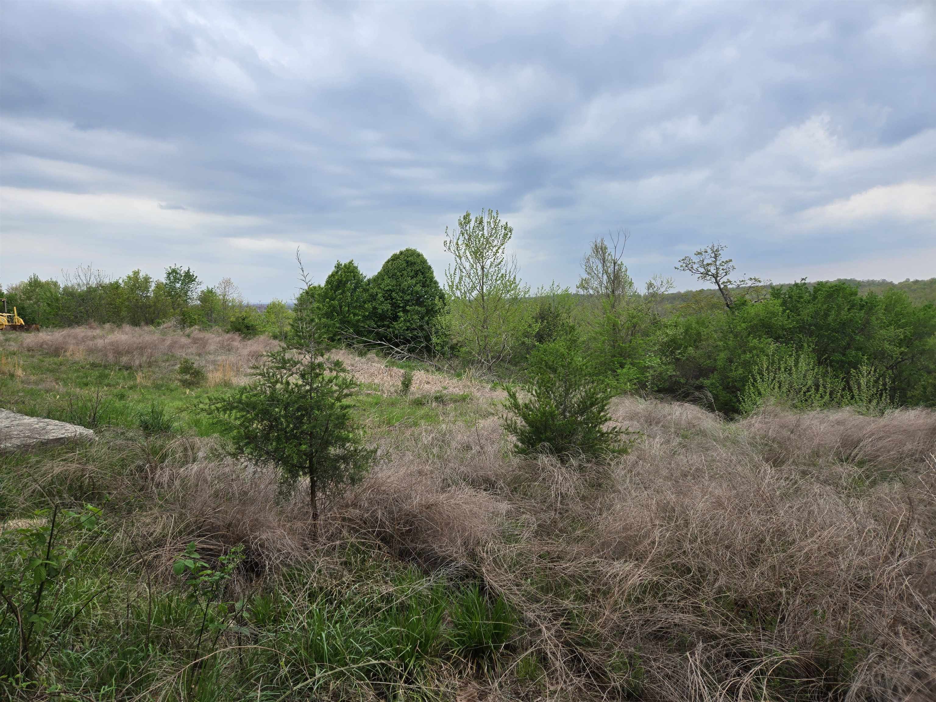 Photo 21 - Vacant Land for sale –   Moonlight   Mammoth Spring, AR