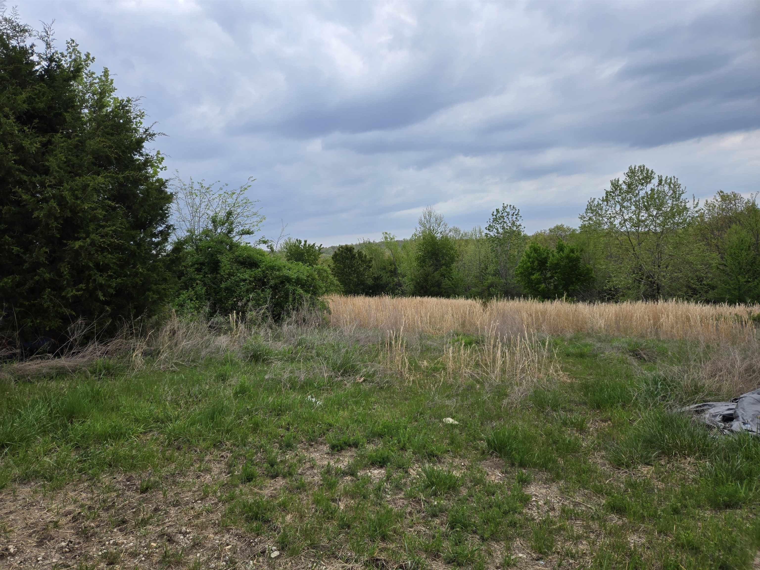 Photo 22 - Vacant Land for sale –   Moonlight   Mammoth Spring, AR
