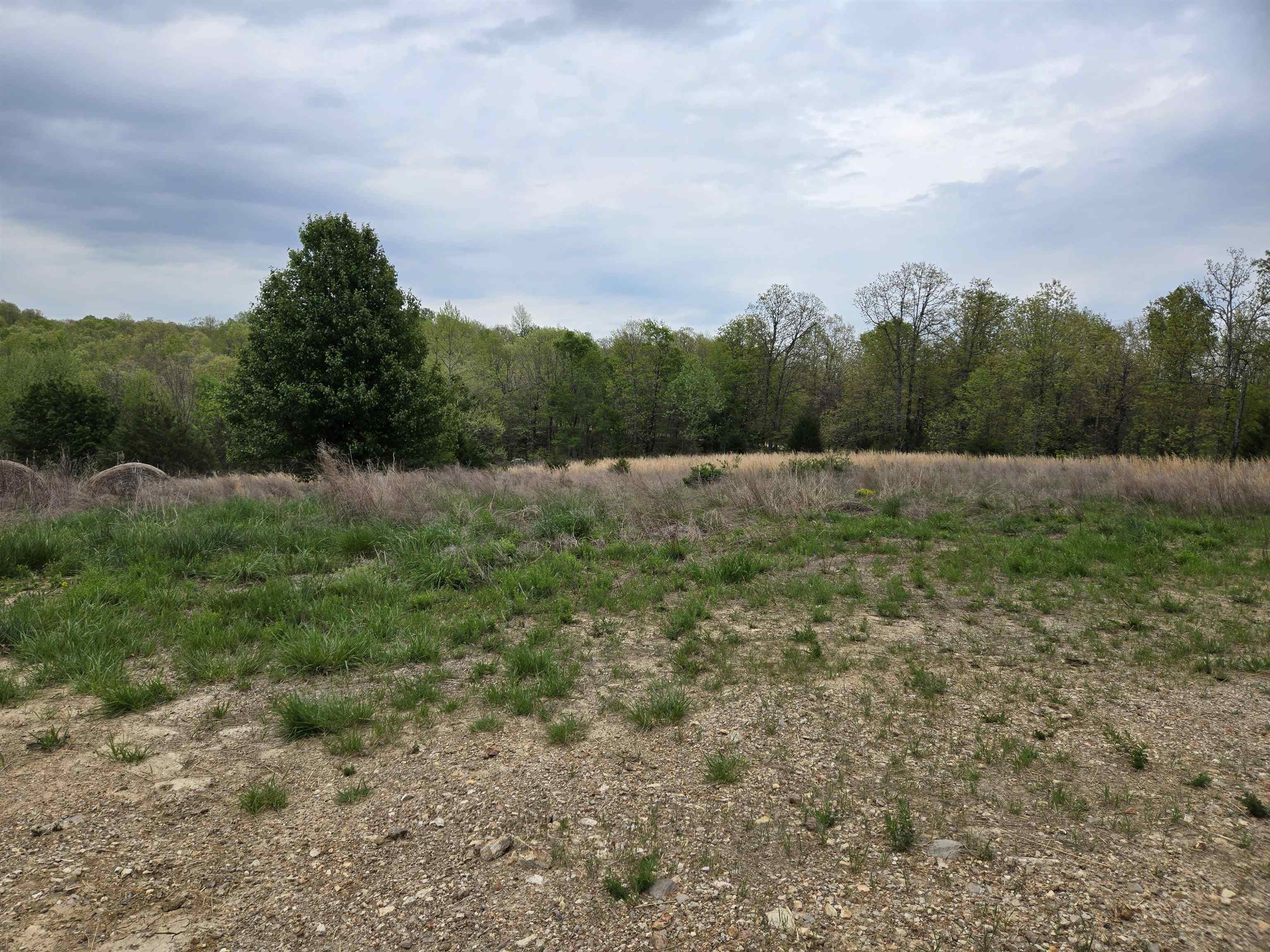 Photo 23 - Vacant Land for sale –   Moonlight   Mammoth Spring, AR