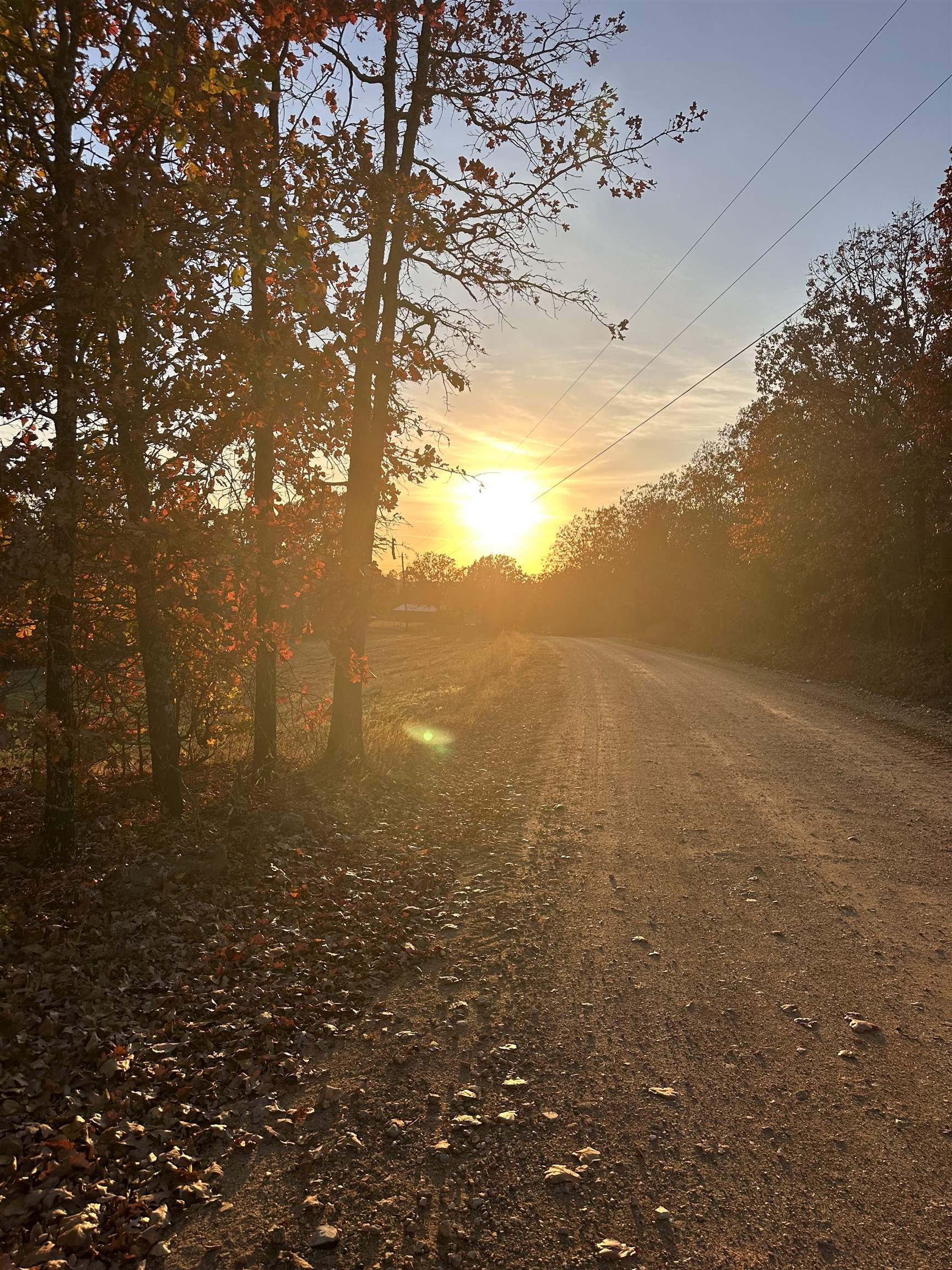 Photo 4 - Vacant Land for sale –   Moonlight   Mammoth Spring, AR