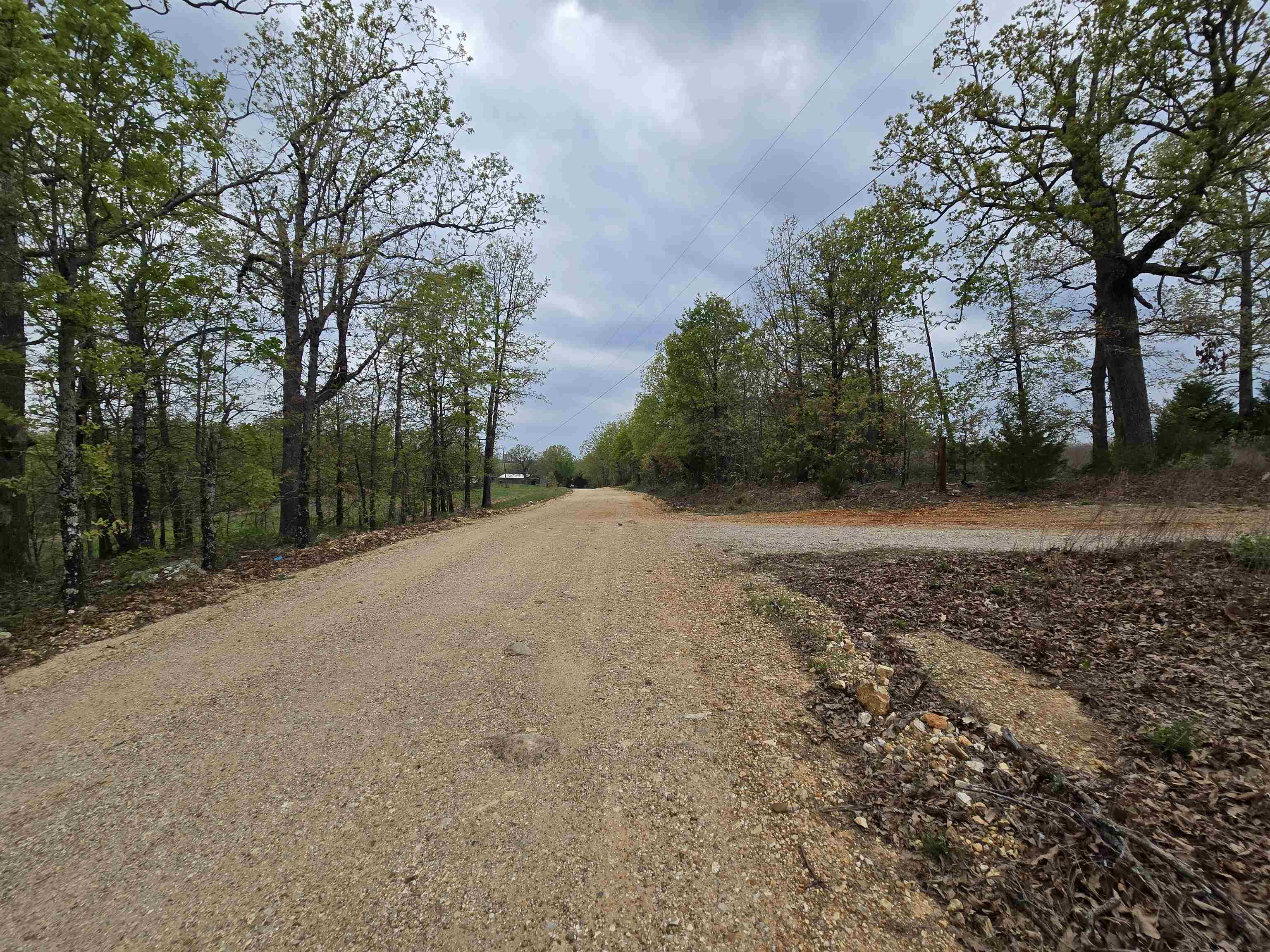 Photo 4 - Vacant Land for sale –   Moonlight   Mammoth Spring, AR