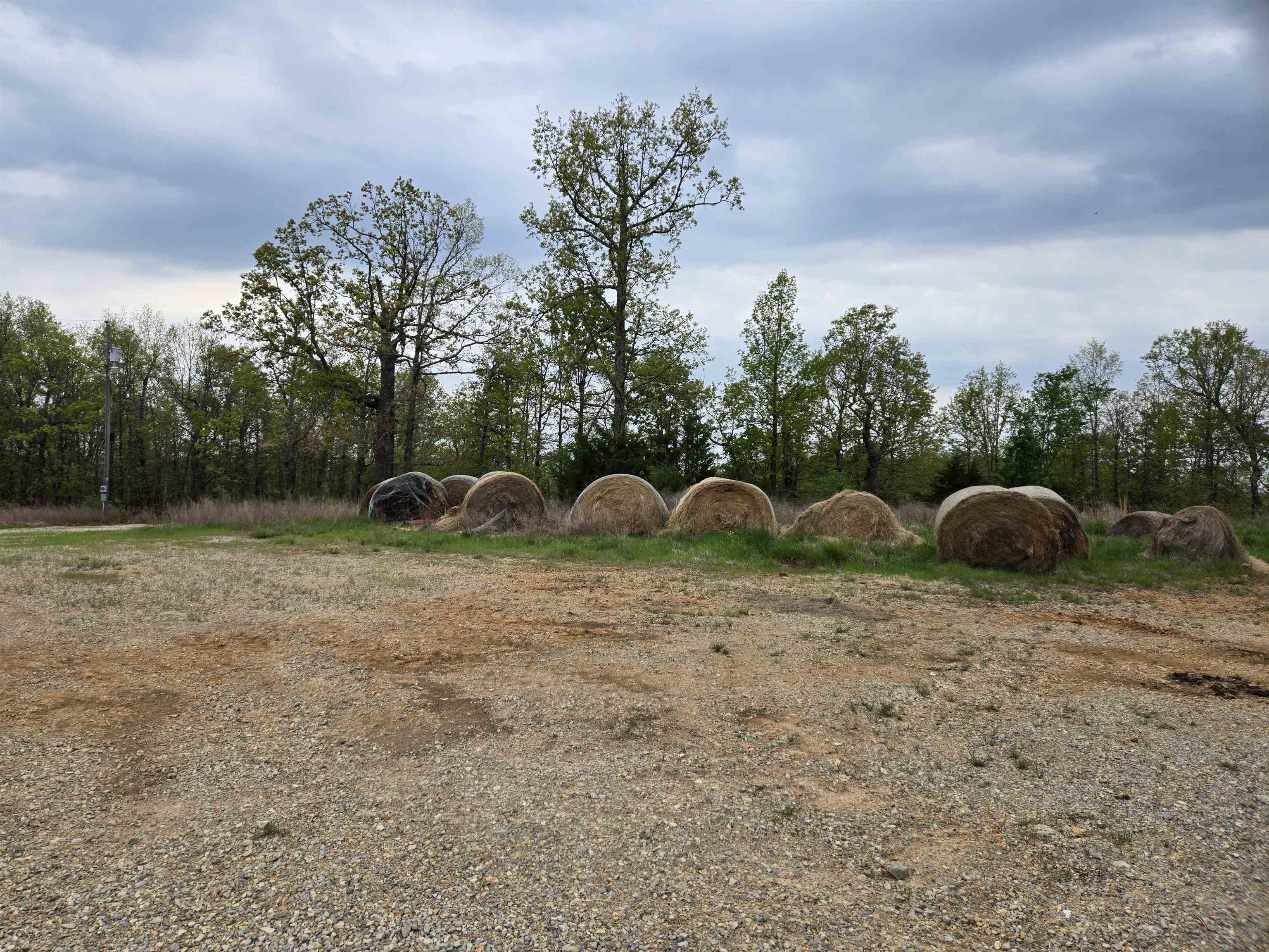 Photo 10 - Vacant Land for sale –   Moonlight   Mammoth Spring, AR