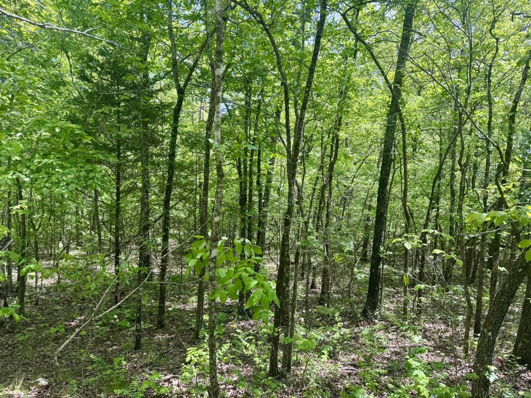 Photo 2 - Vacant Land for sale – 10A  Kiowa Circle   Hardy, AR