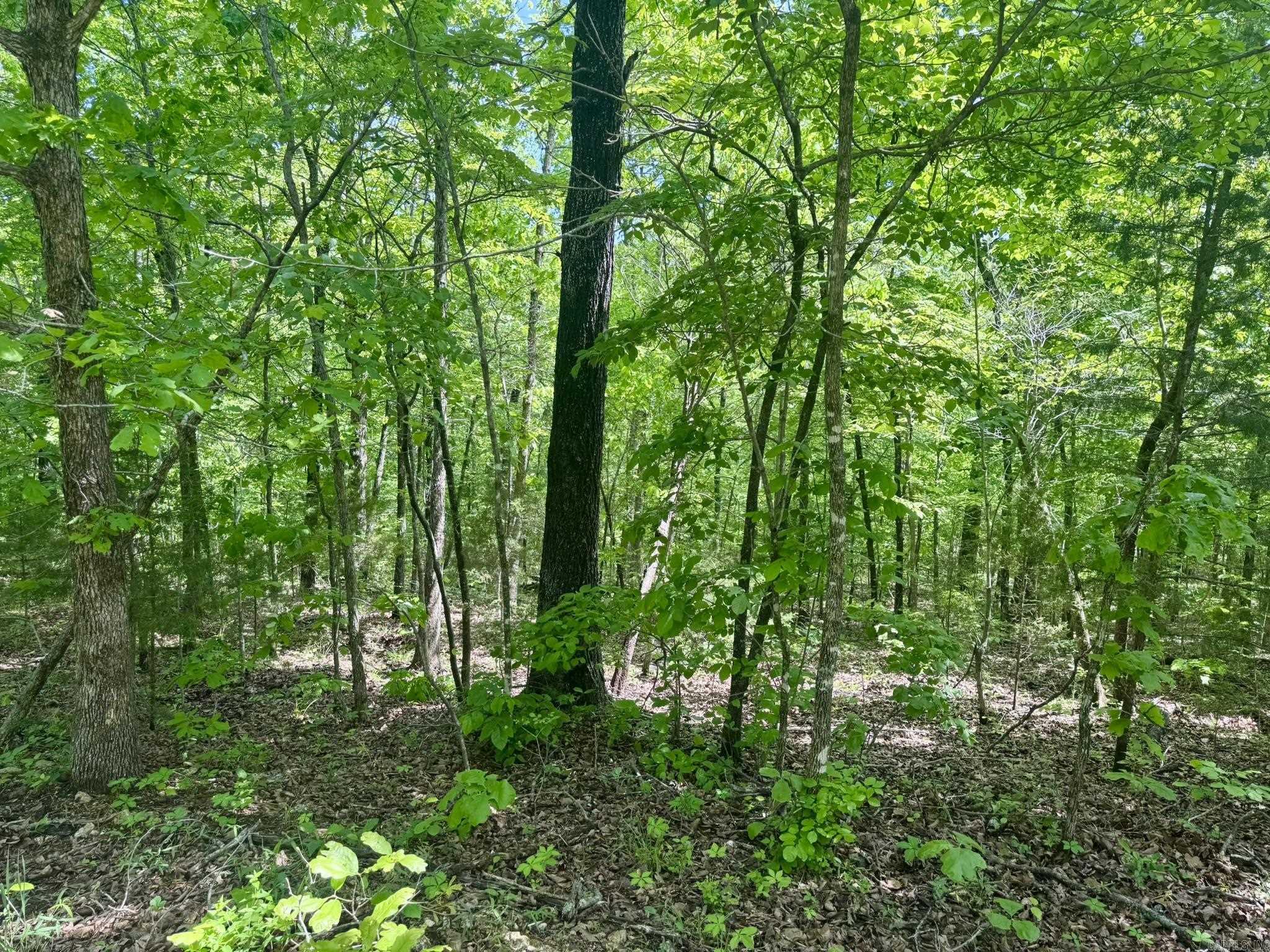 Photo 3 - Vacant Land for sale – 10A  Kiowa Circle   Hardy, AR