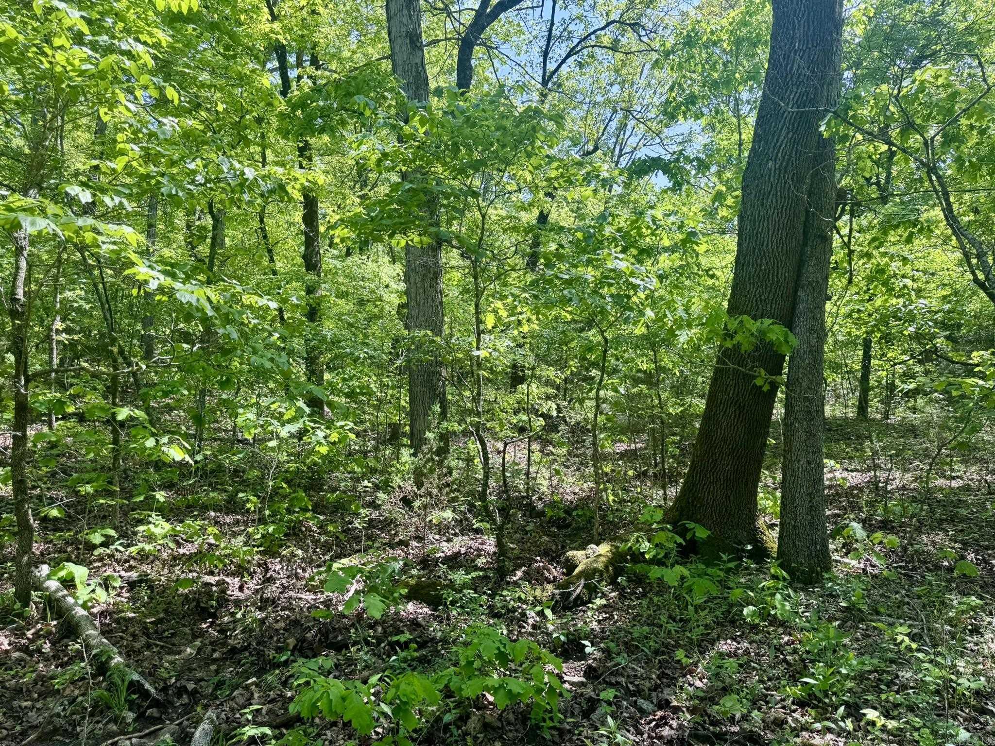 Photo 4 - Vacant Land for sale – 10A  Kiowa Circle   Hardy, AR