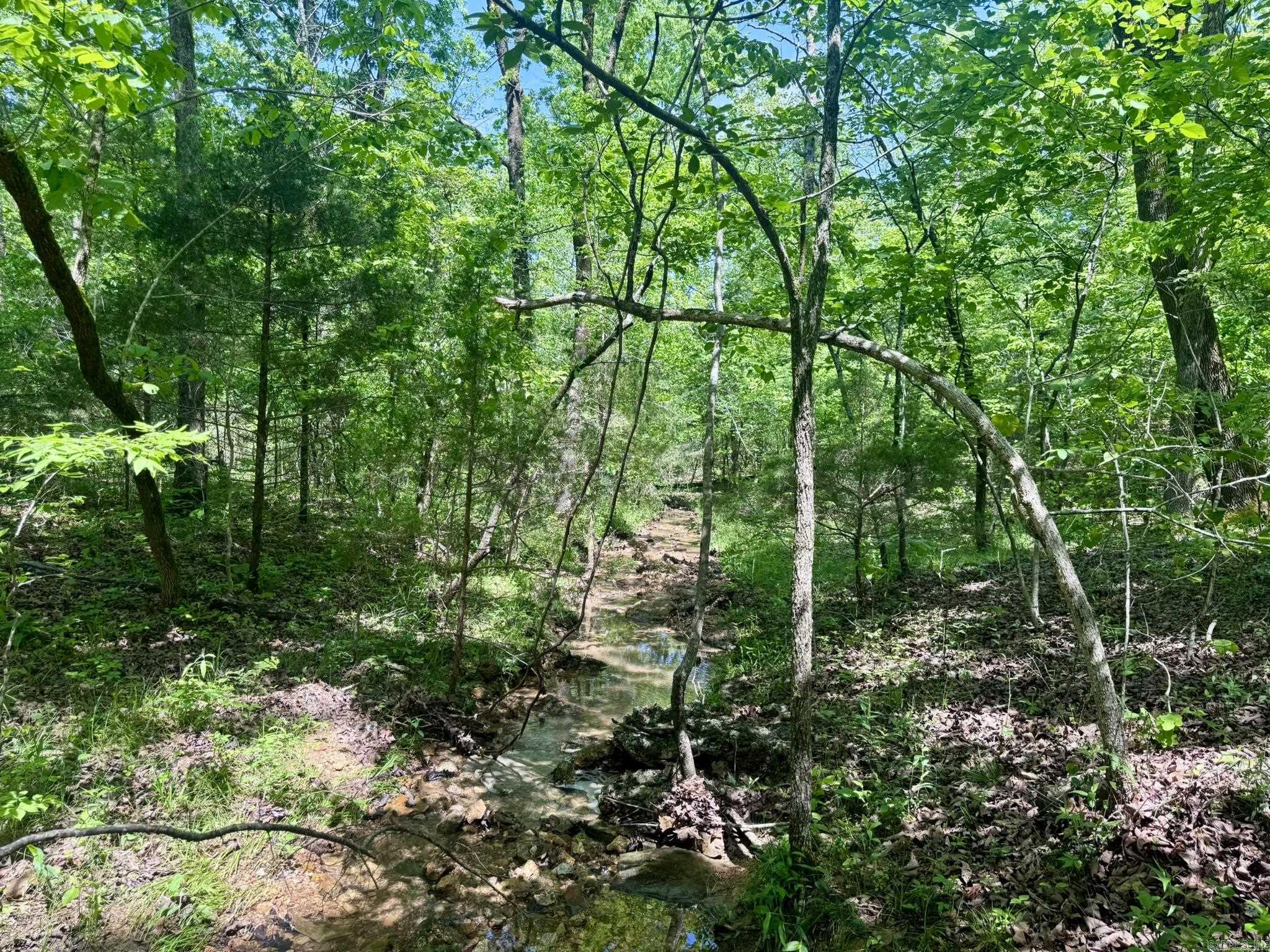 Photo 6 - Vacant Land for sale – 10A  Kiowa Circle   Hardy, AR