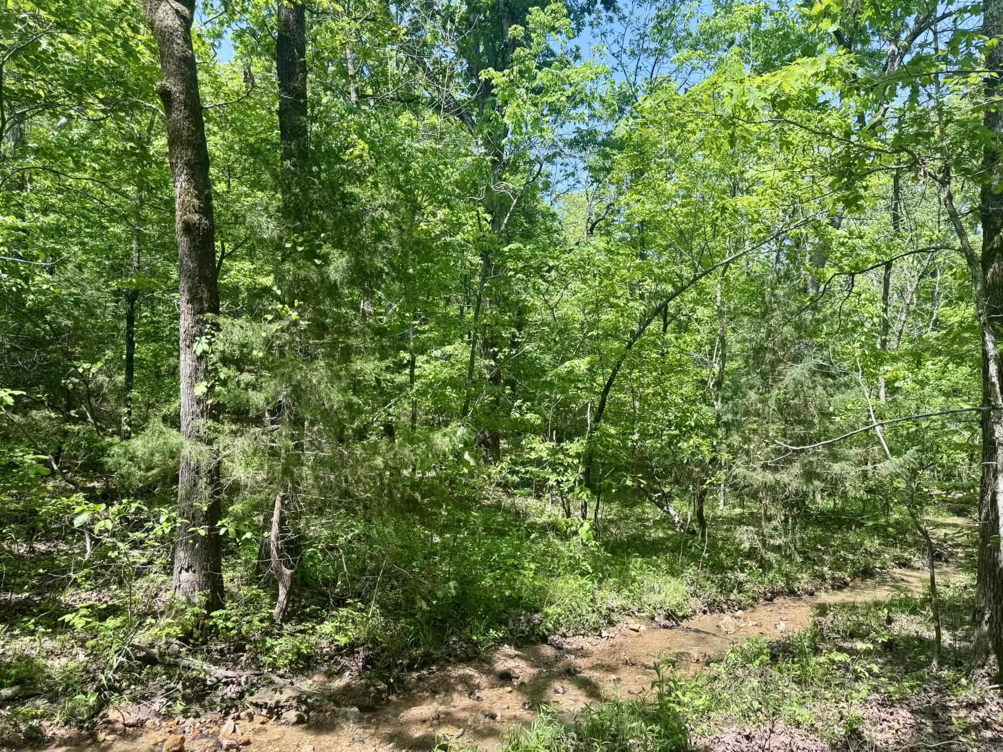 Photo 7 - Vacant Land for sale – 10A  Kiowa Circle   Hardy, AR