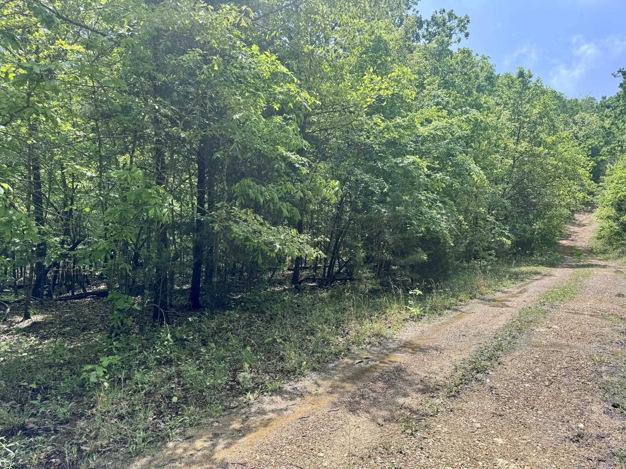 Photo 8 - Vacant Land for sale – 10A  Kiowa Circle   Hardy, AR