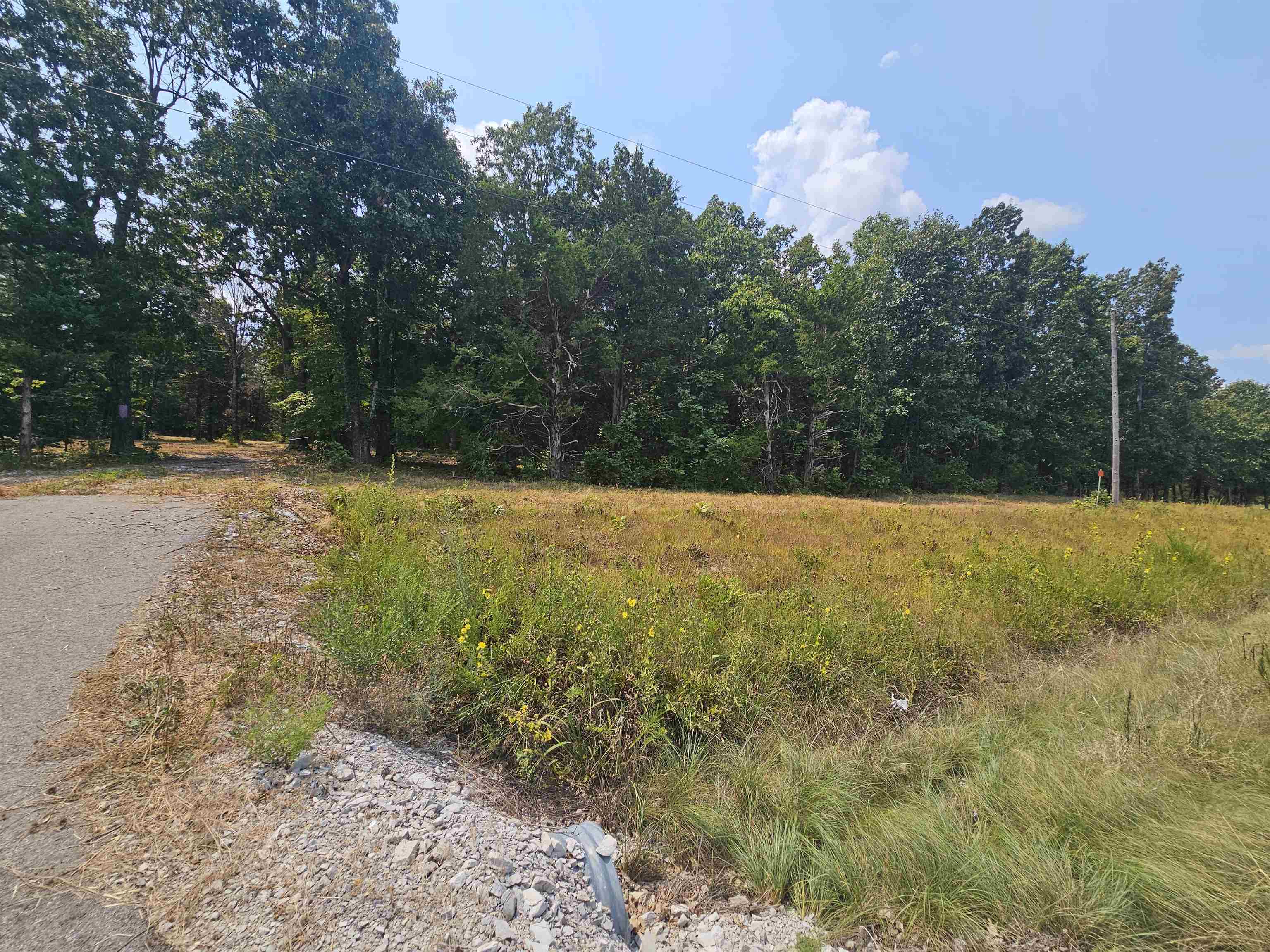 Photo 3 - Vacant Land for sale –   AR-62/412   Ash Flat, AR