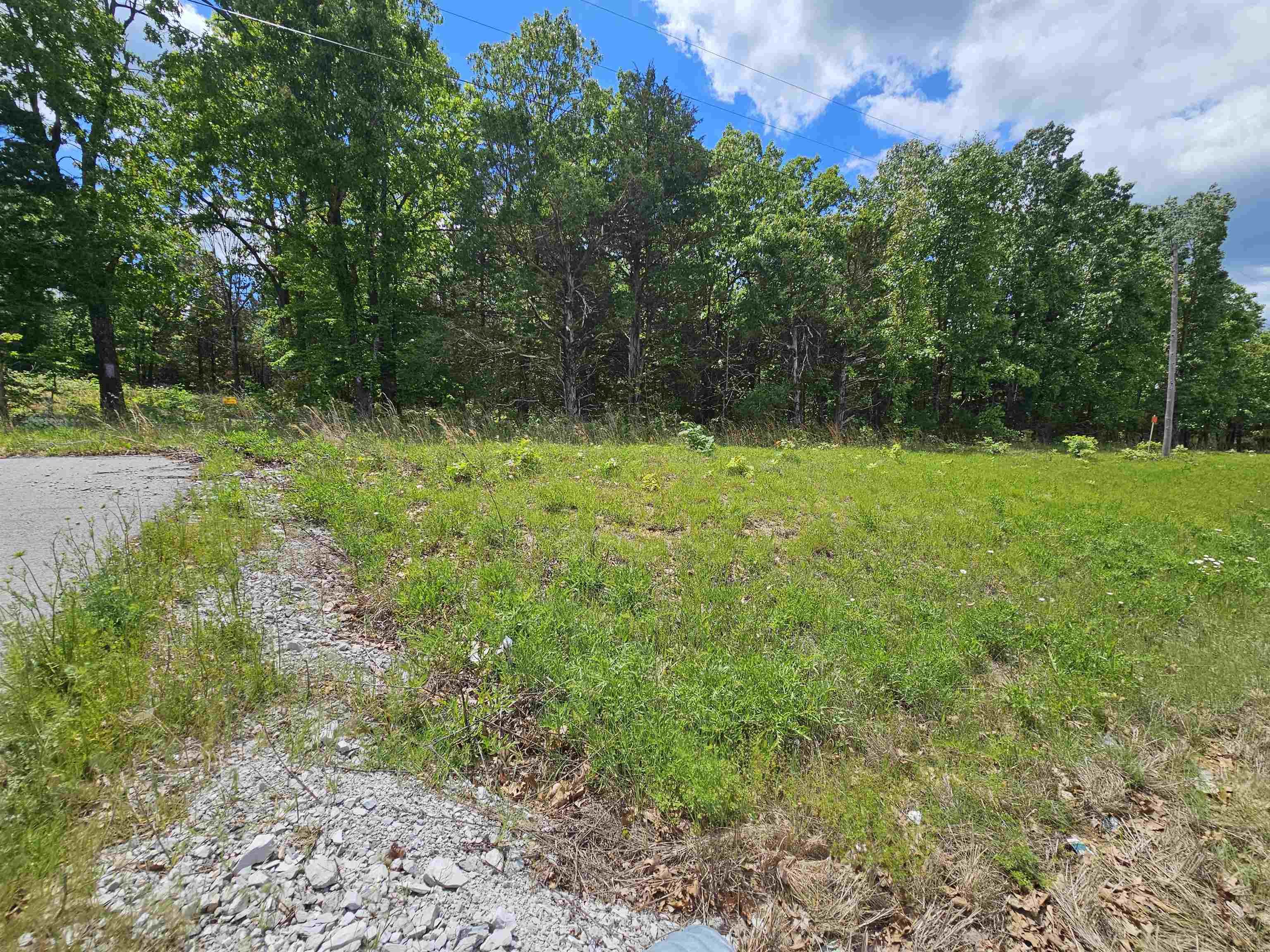 Photo 4 - Vacant Land for sale –   AR-62/412   Ash Flat, AR