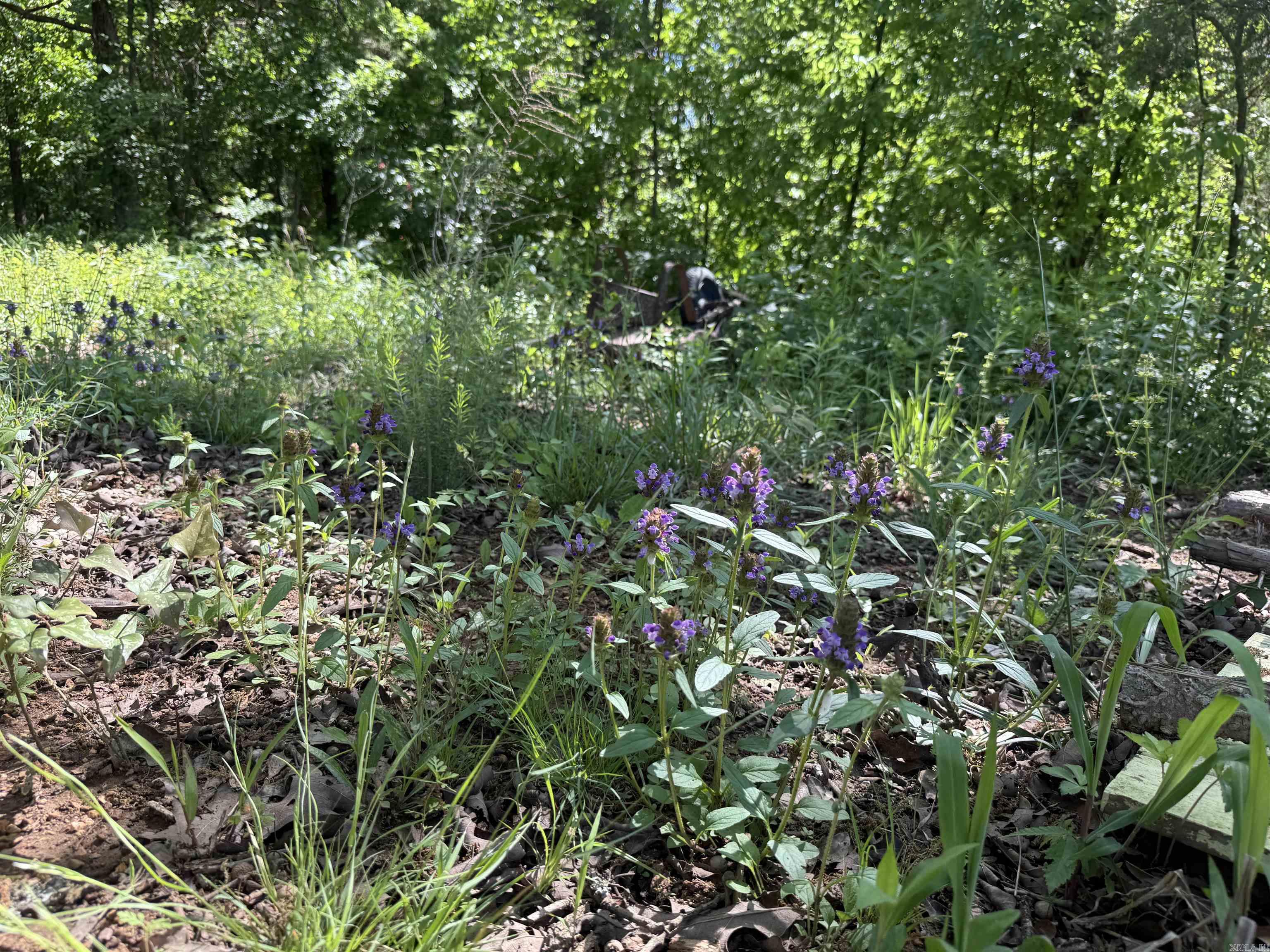 Photo 14 - Vacant Land for sale – 998  Mill Creek Road   Poughkeepsie, AR