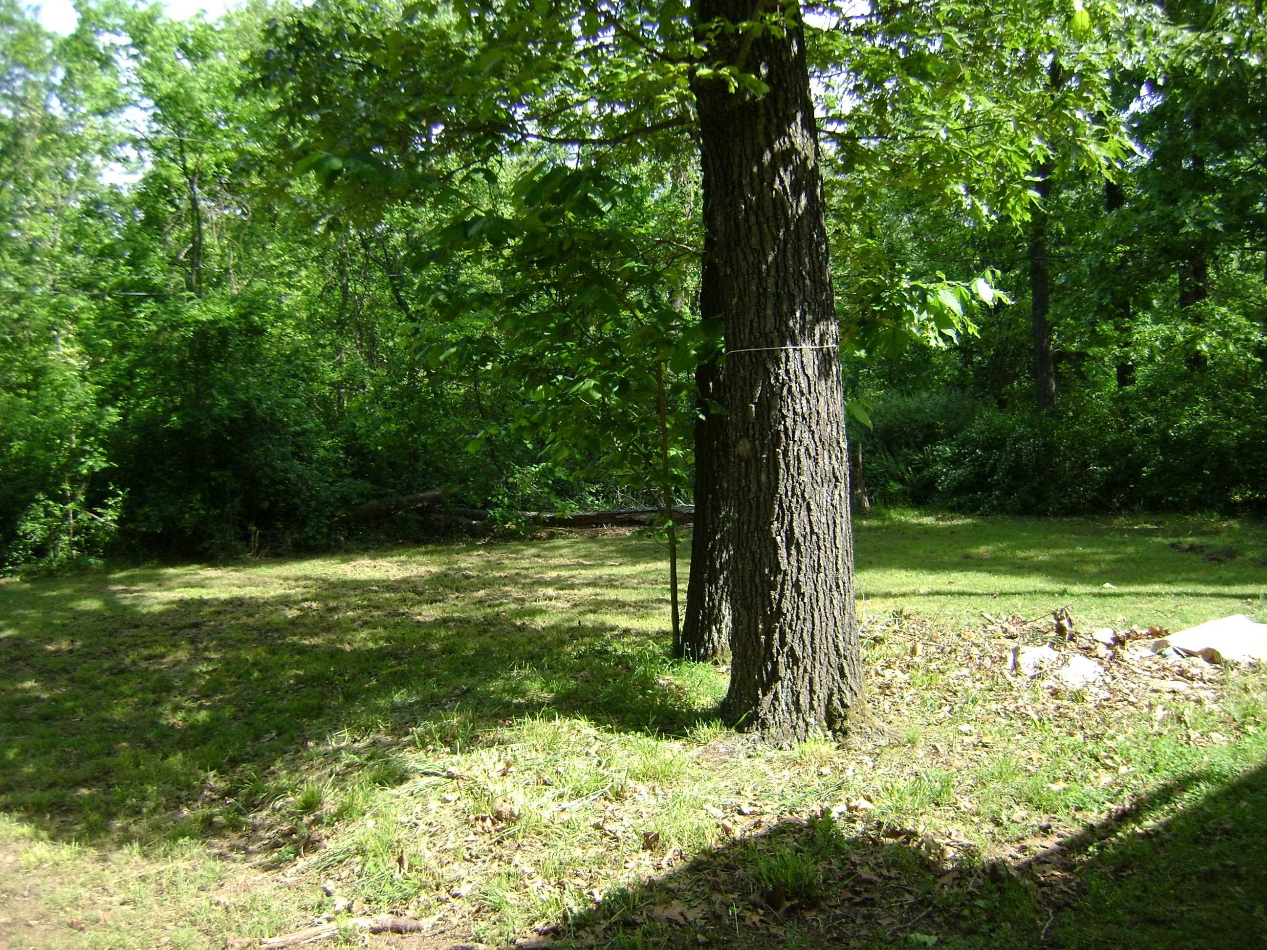 Photo 6 - Residential for sale – 305  Bambi Lane   Horseshoe Bend, AR
