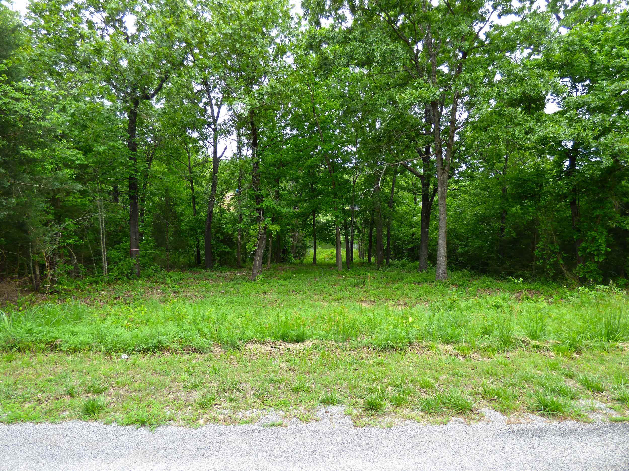 Photo 5 - Vacant Land for sale –   Tonganoxie   Cherokee Village, AR